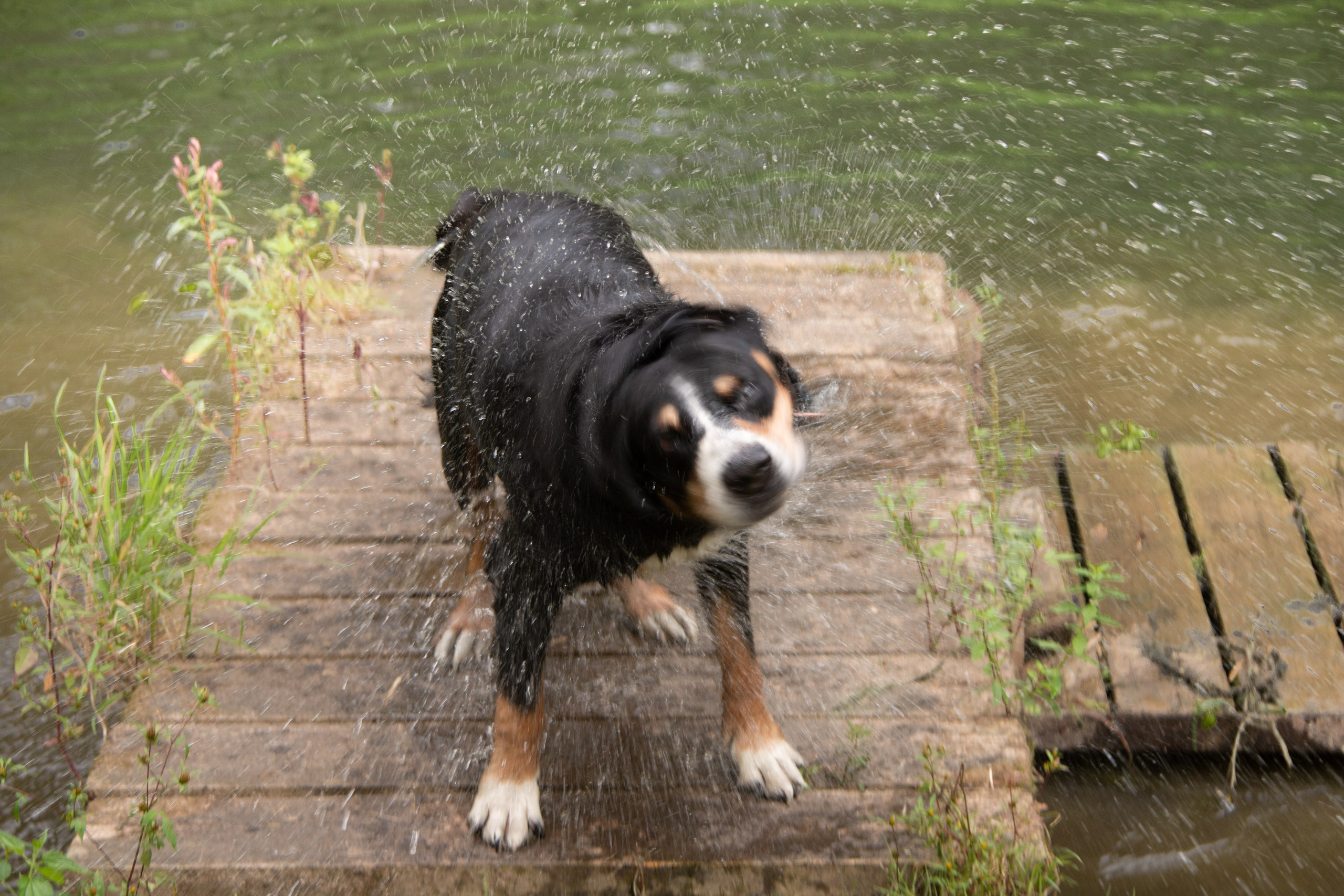Жанровый портрет. Фотограф Лагутин Анатолий