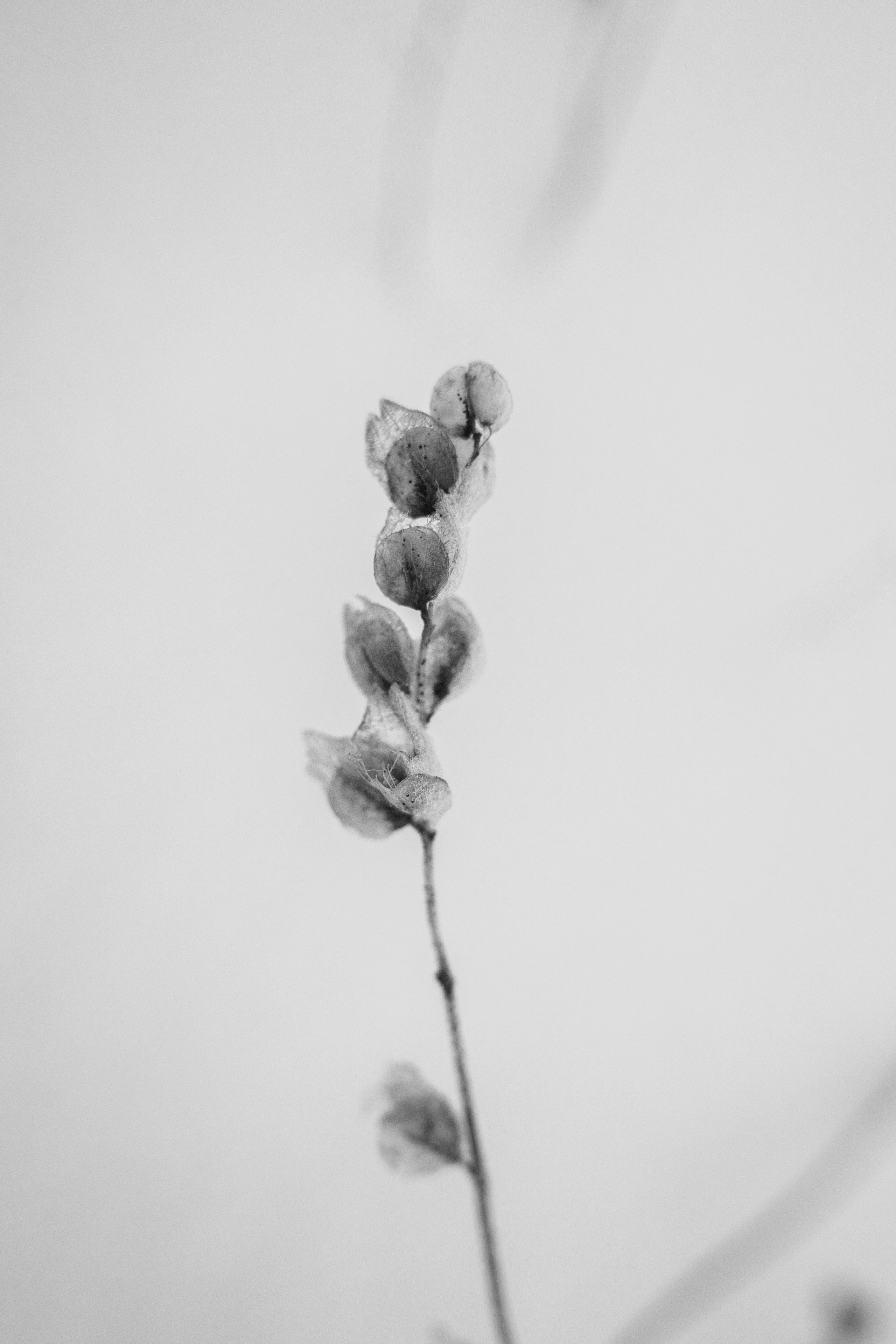 Териберка — репортаж тура Ковчег 51. Видеограф в Санкт-Петербурге Анастасия Коок