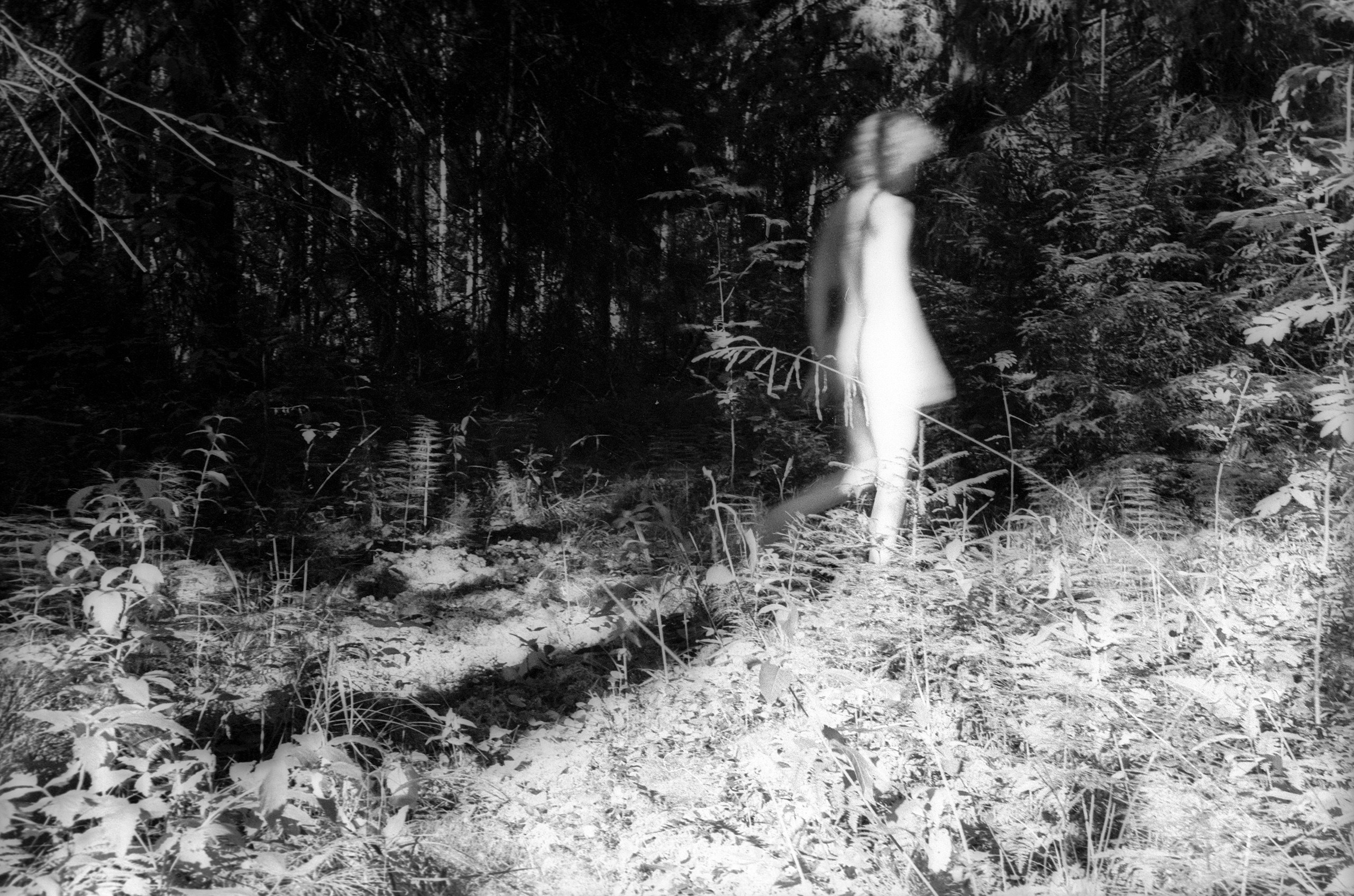 Лесная серия. Kirill Gribov