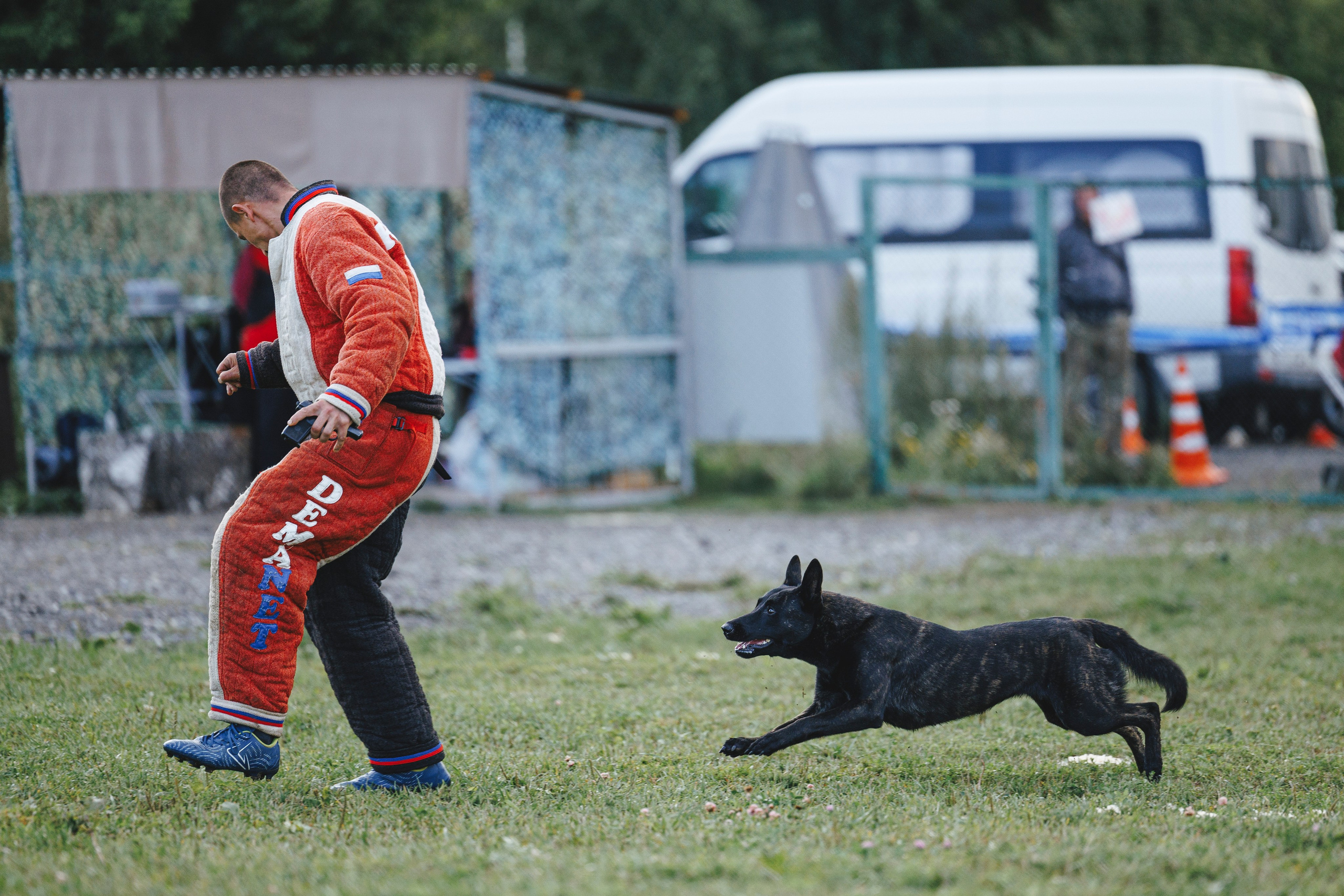 08.08.25-10.08.25 ЧР по мондьорингу г. Вологда. Фотограф-анималист Анна Маринич