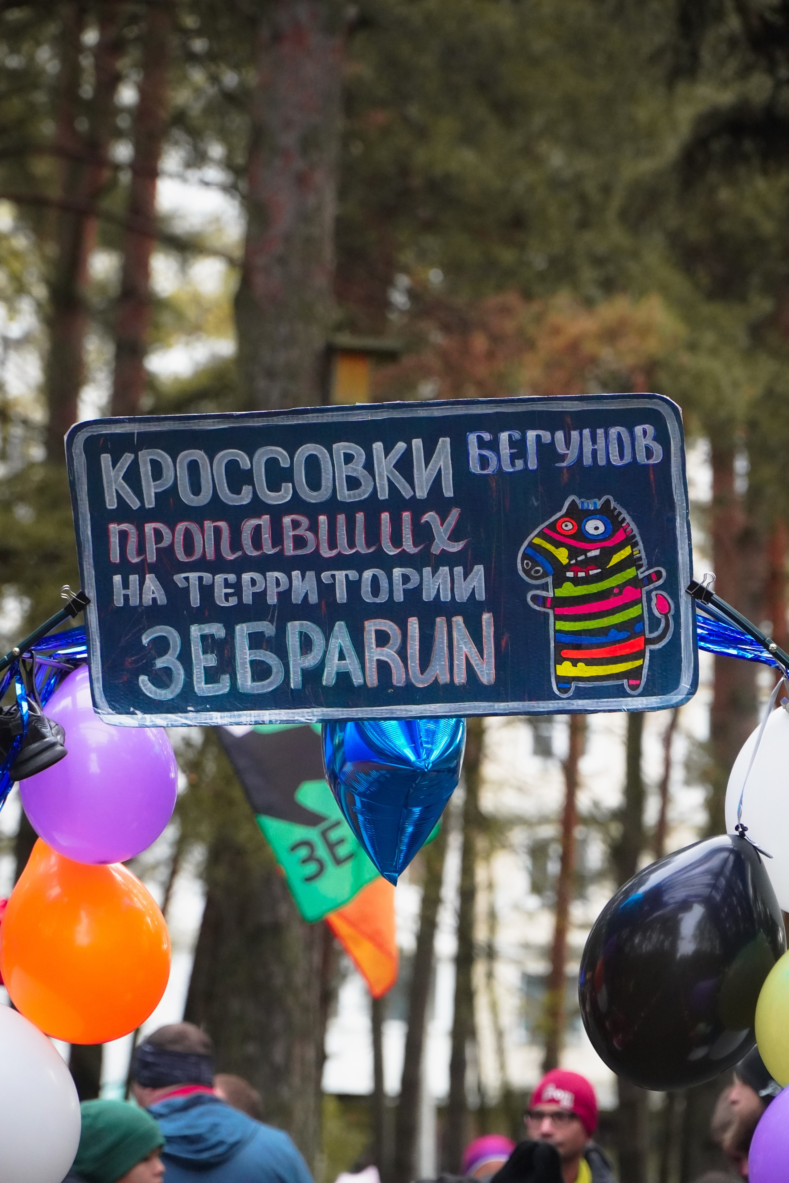 5 вёрст Томилинский 3 года 18 октября 2025. Роман Капилюшов. Бег. Фото. Видео. г. Люберцы