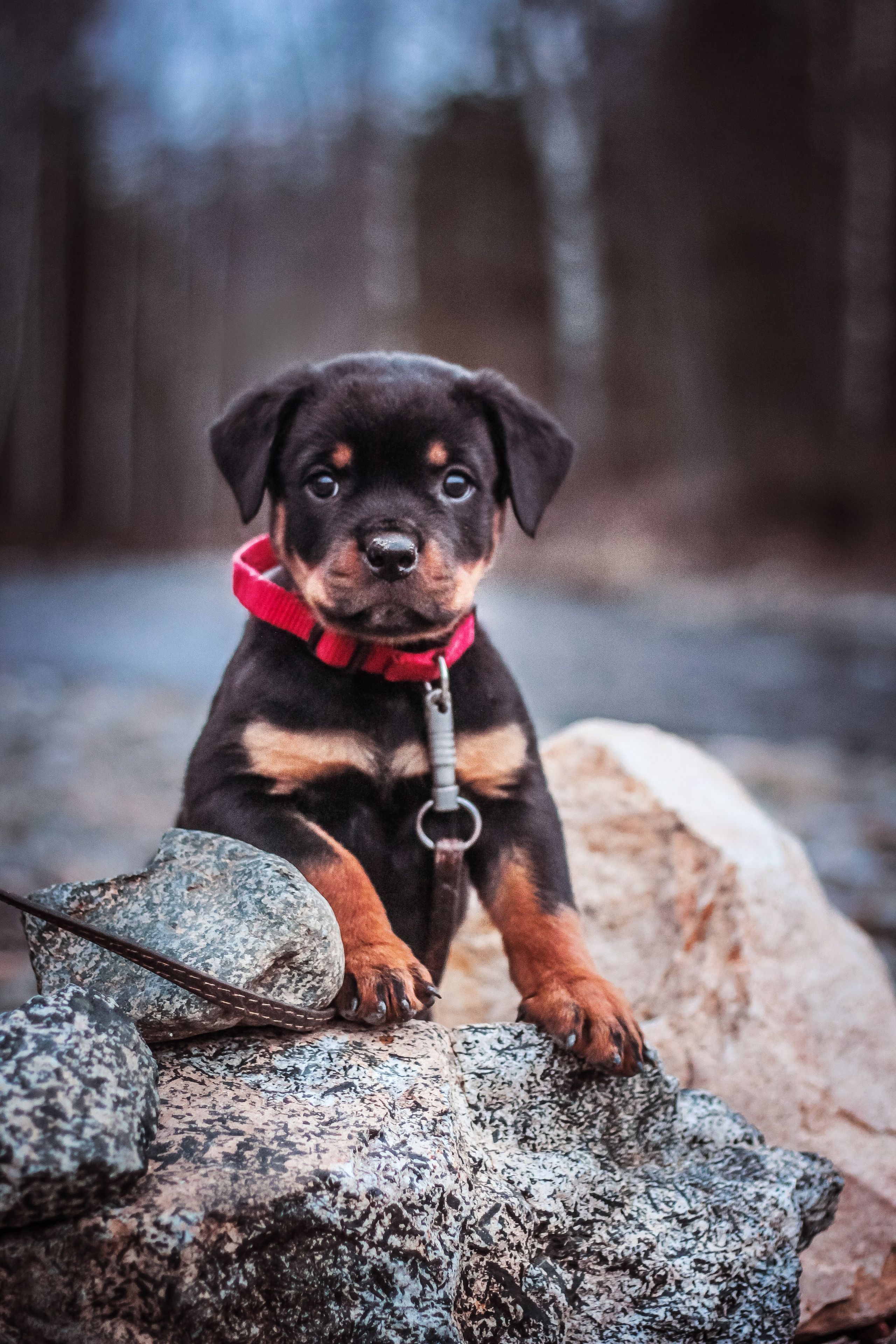 Животные. Авторские туры с профессиональным фотографом