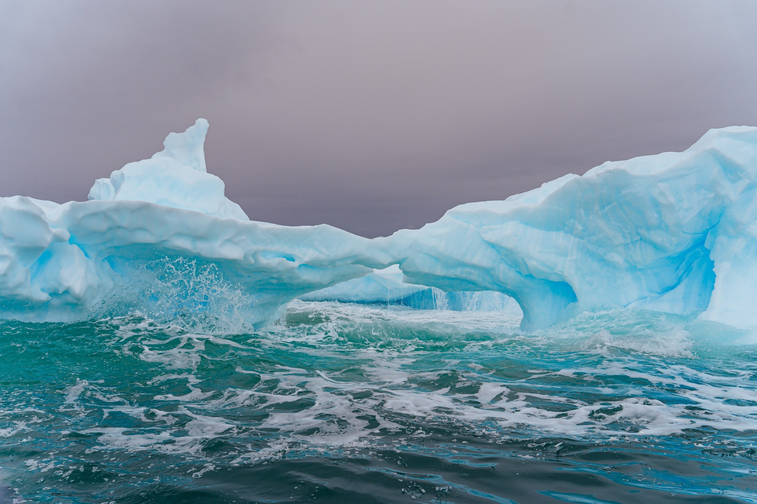 Природа. Медийный светский репортажный фотограф