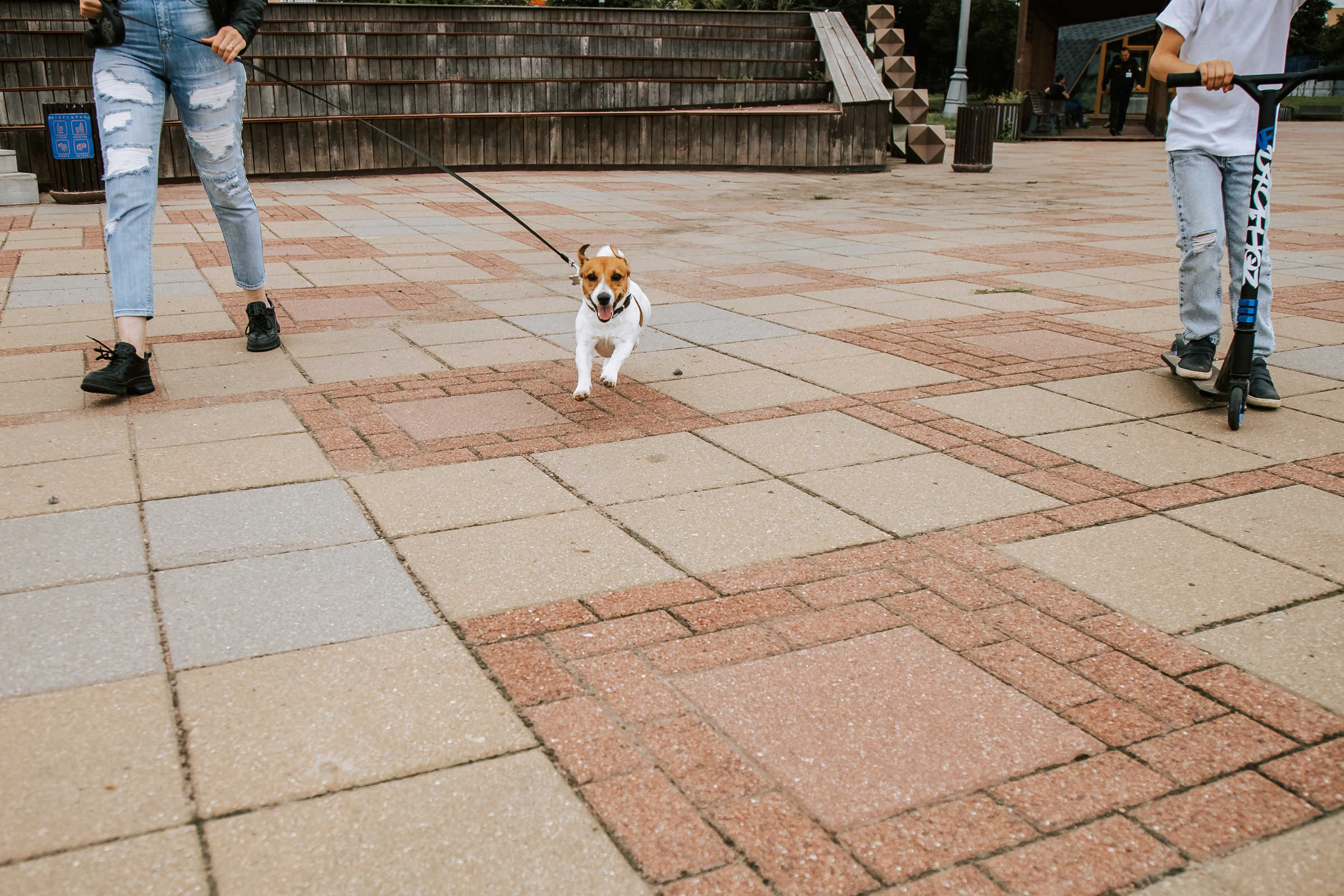 2+1. Репортажный и семейный фотограф в Москве