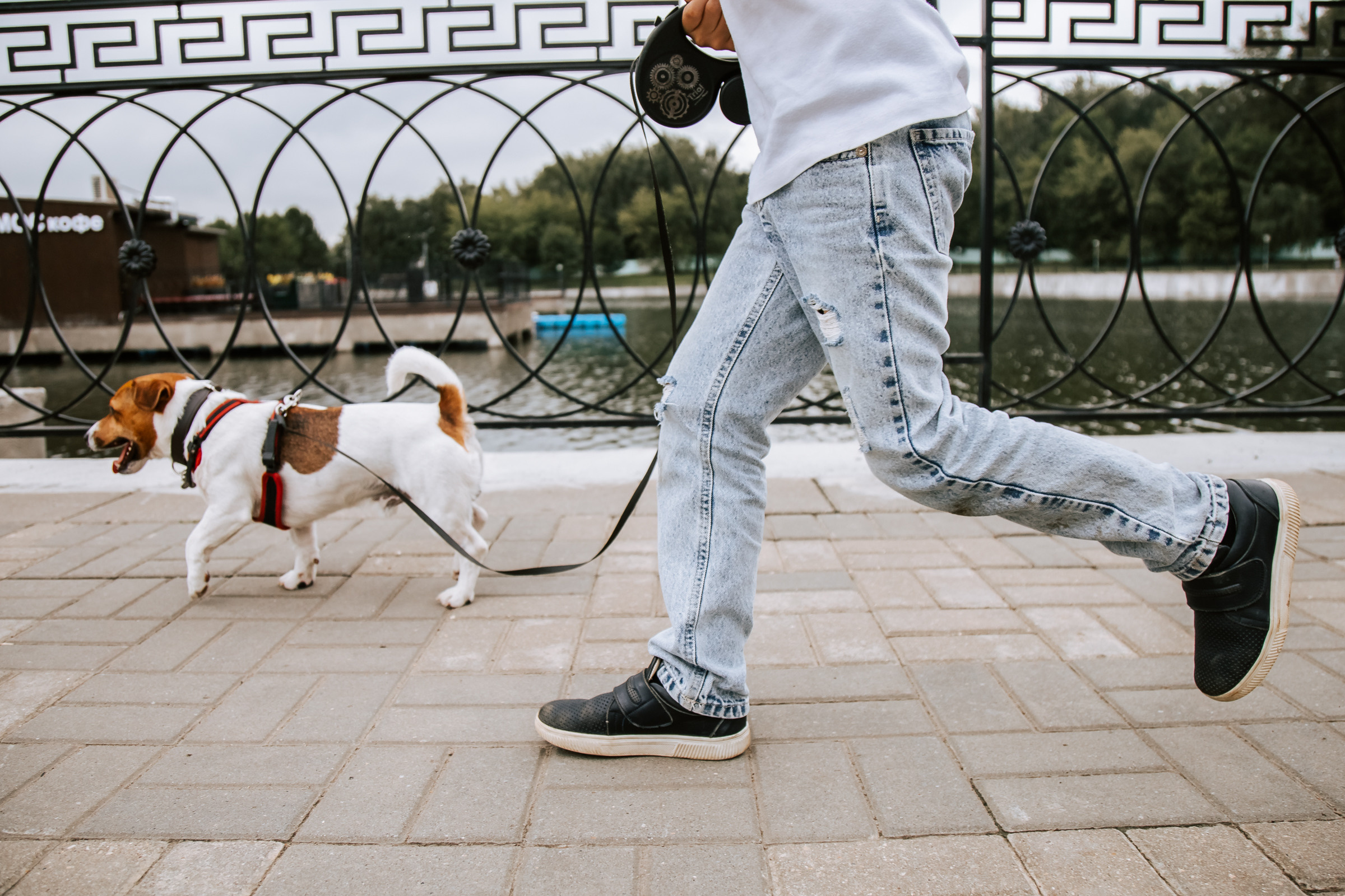 2+1. Репортажный и семейный фотограф в Москве