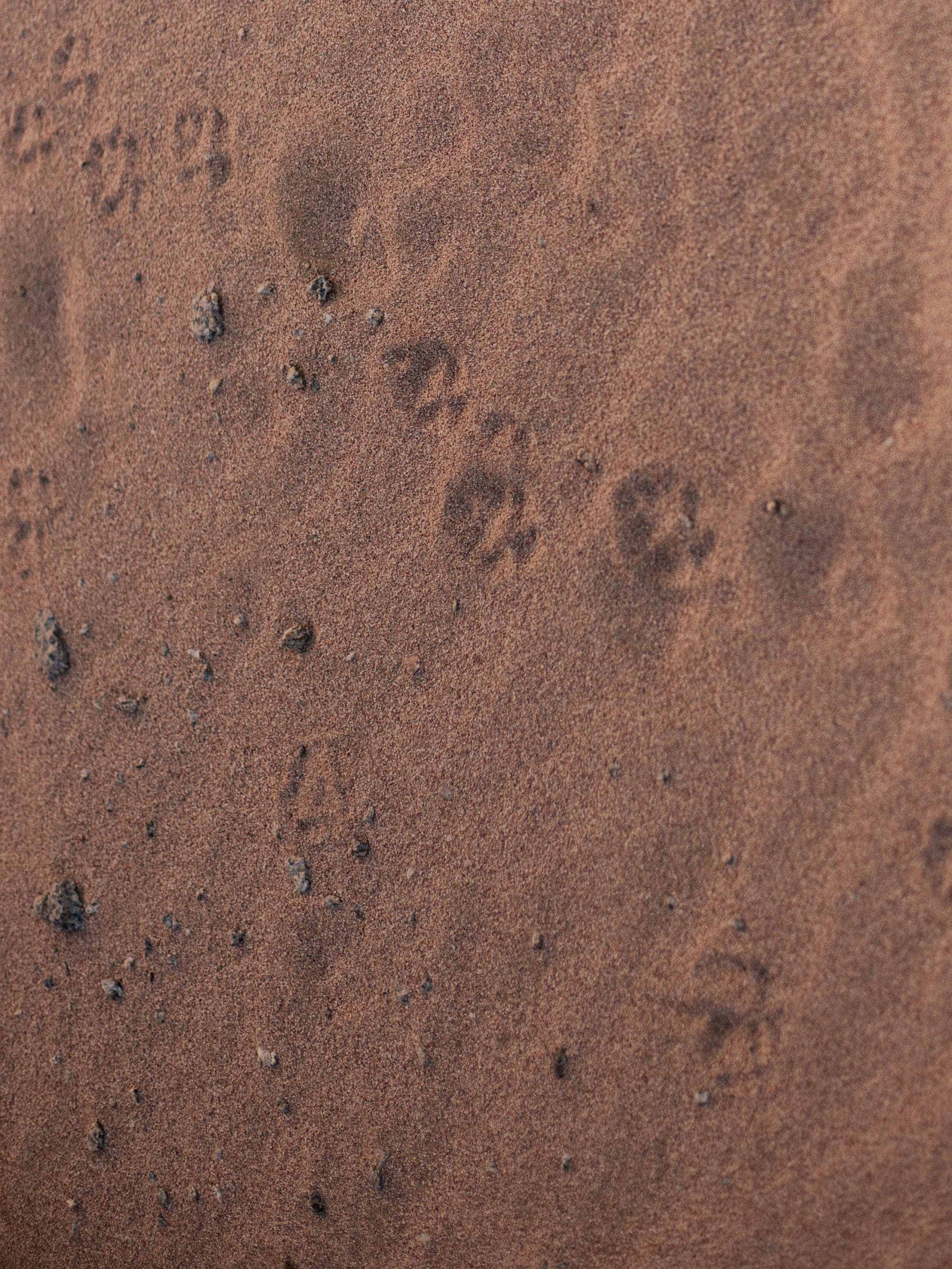 Другое 3. Jorgis — фотограф в Хургаде / обучение фотографии