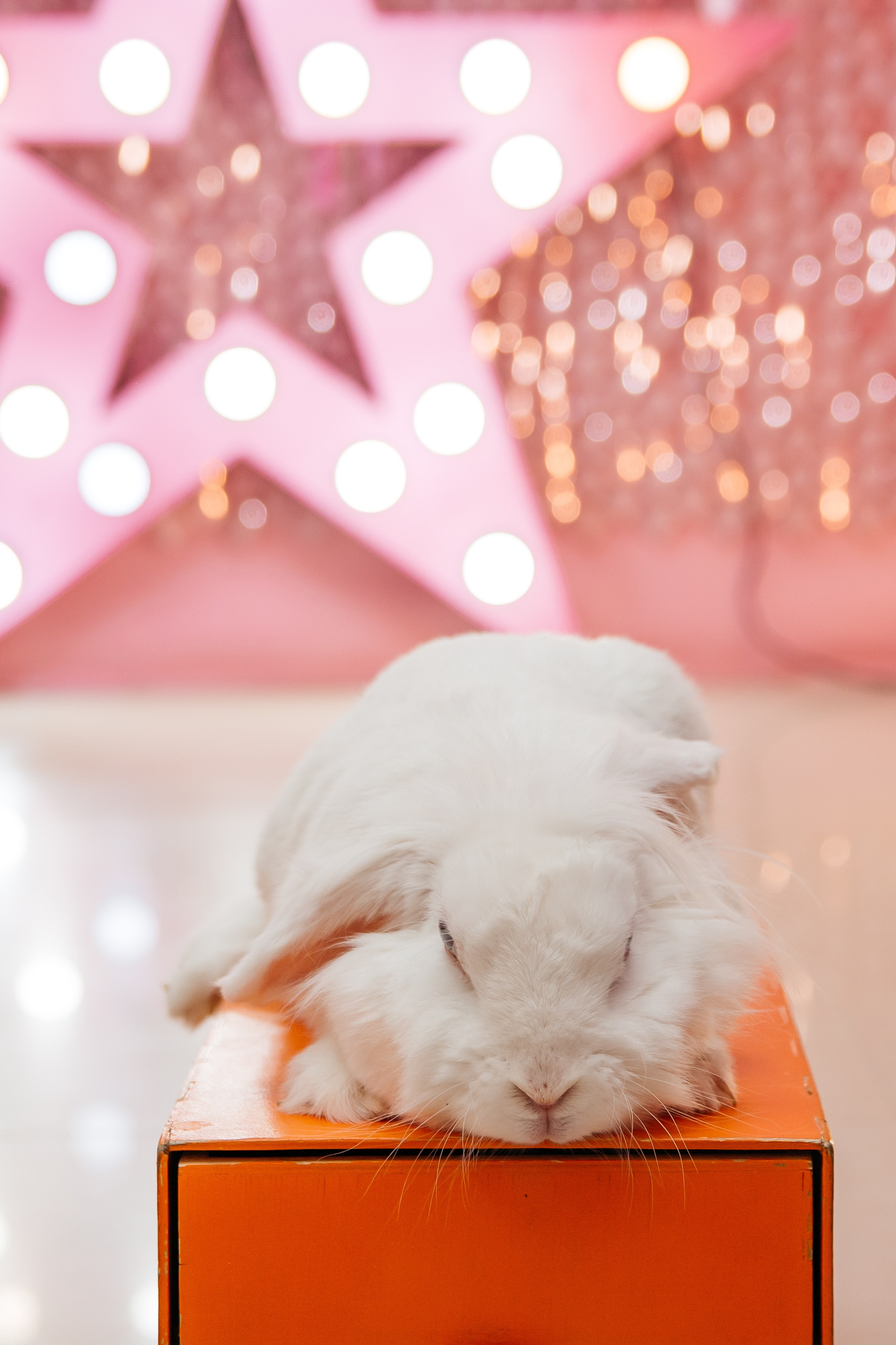 Пятилетие в стиле «Барби». Семейный и детский фотограф Кущ Наташа