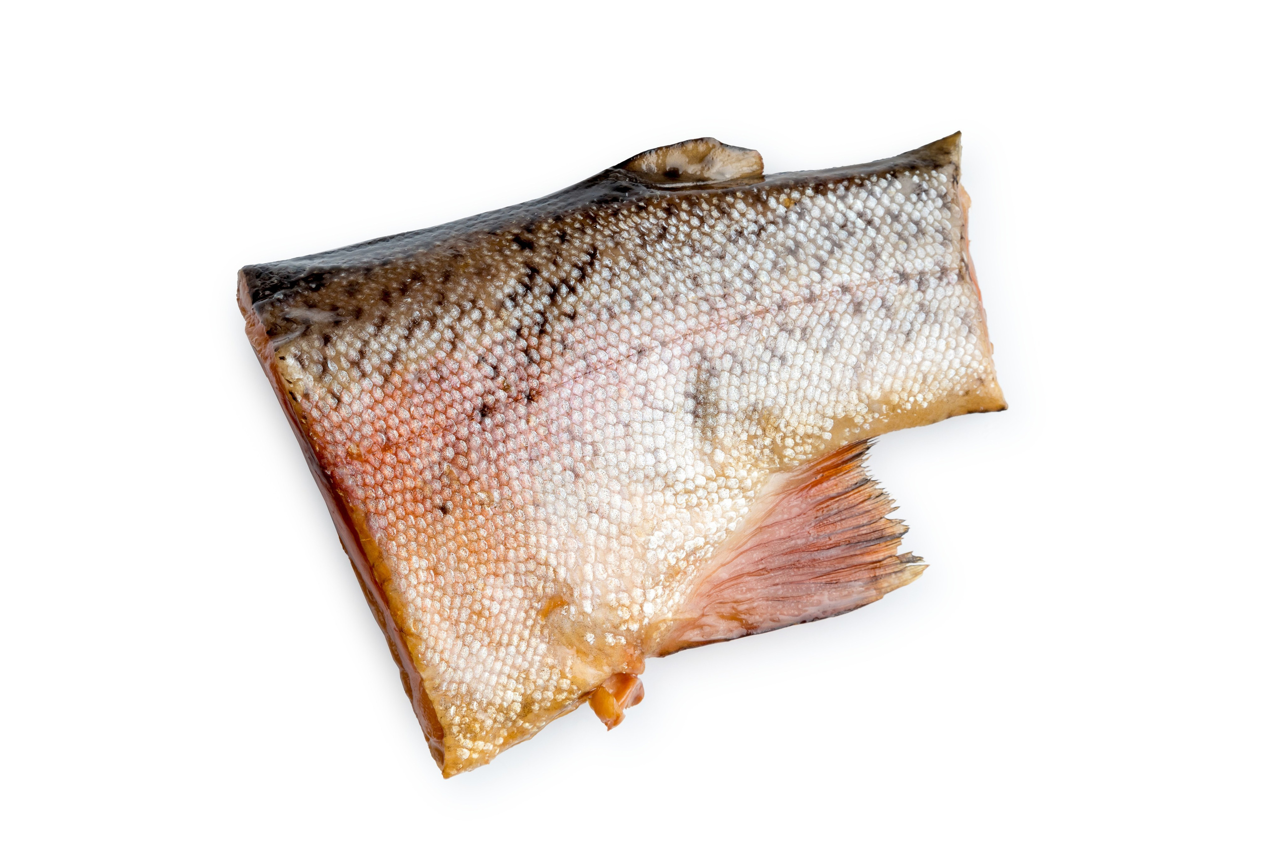 Сырое на белом. Фуд-фотограф Гумеров Ильдар