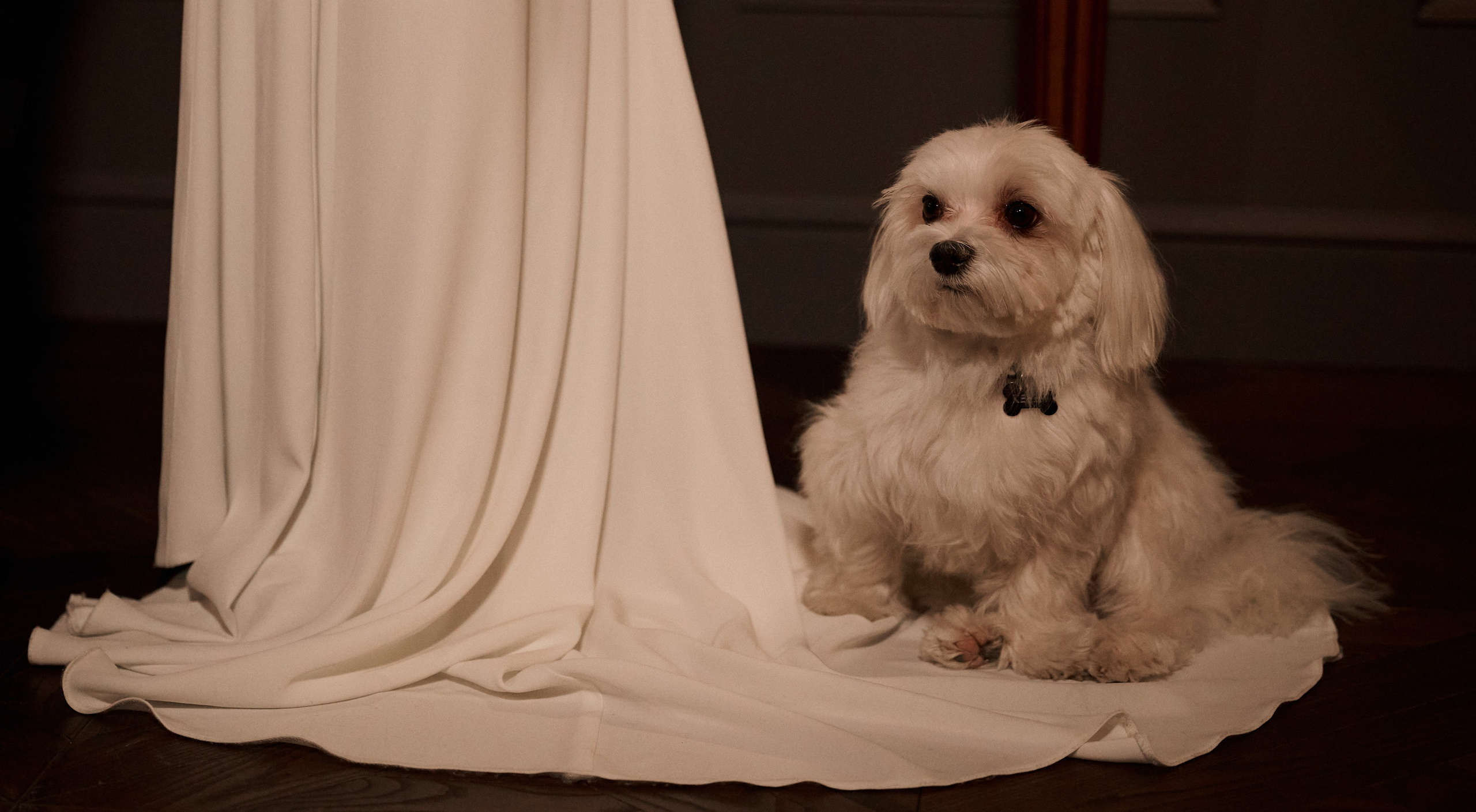 Клим & Полина. Фотограф в Курске Ольга Дудинова