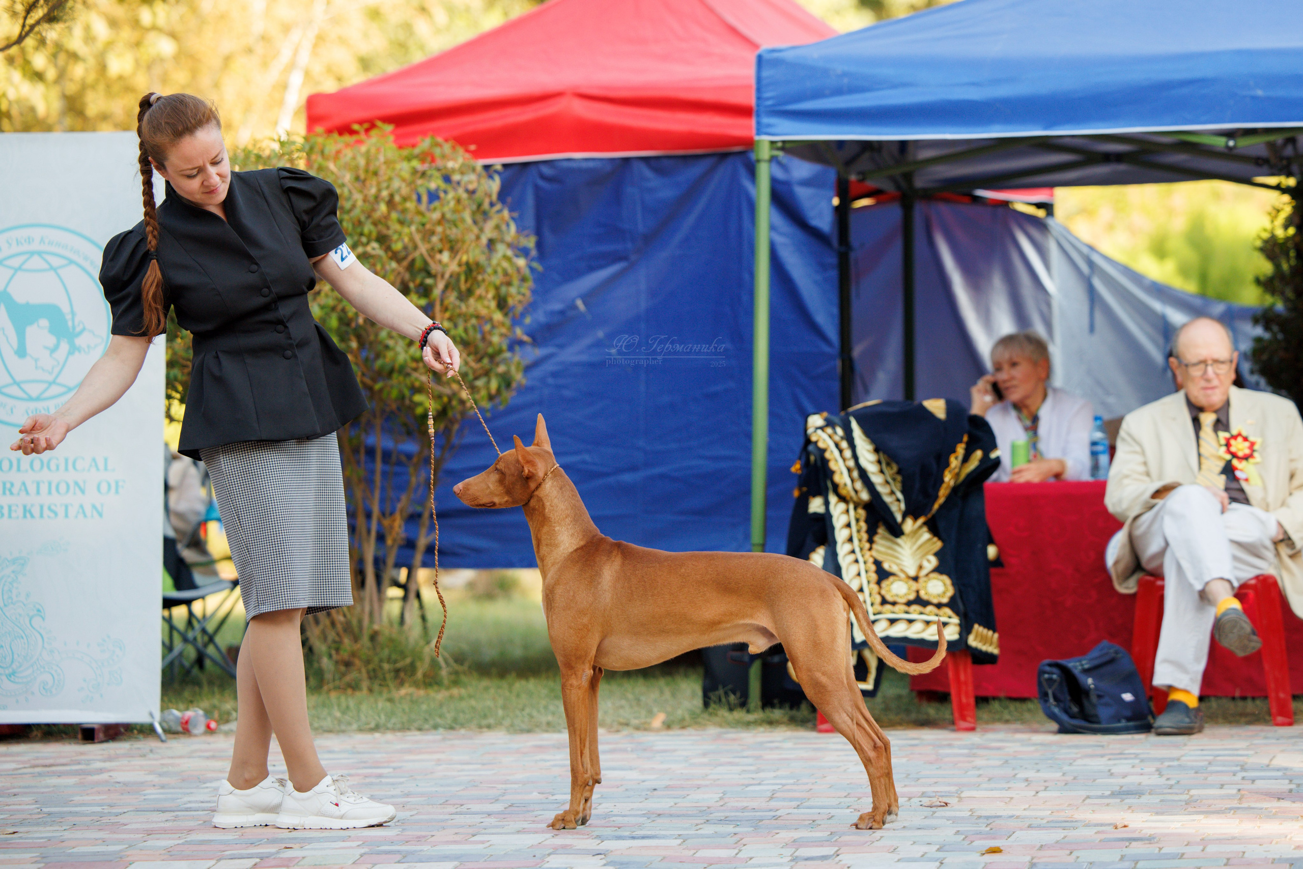 Ташкент 3хCACIB 3-5.10.2025. Фотограф-анималист Юлия Германика