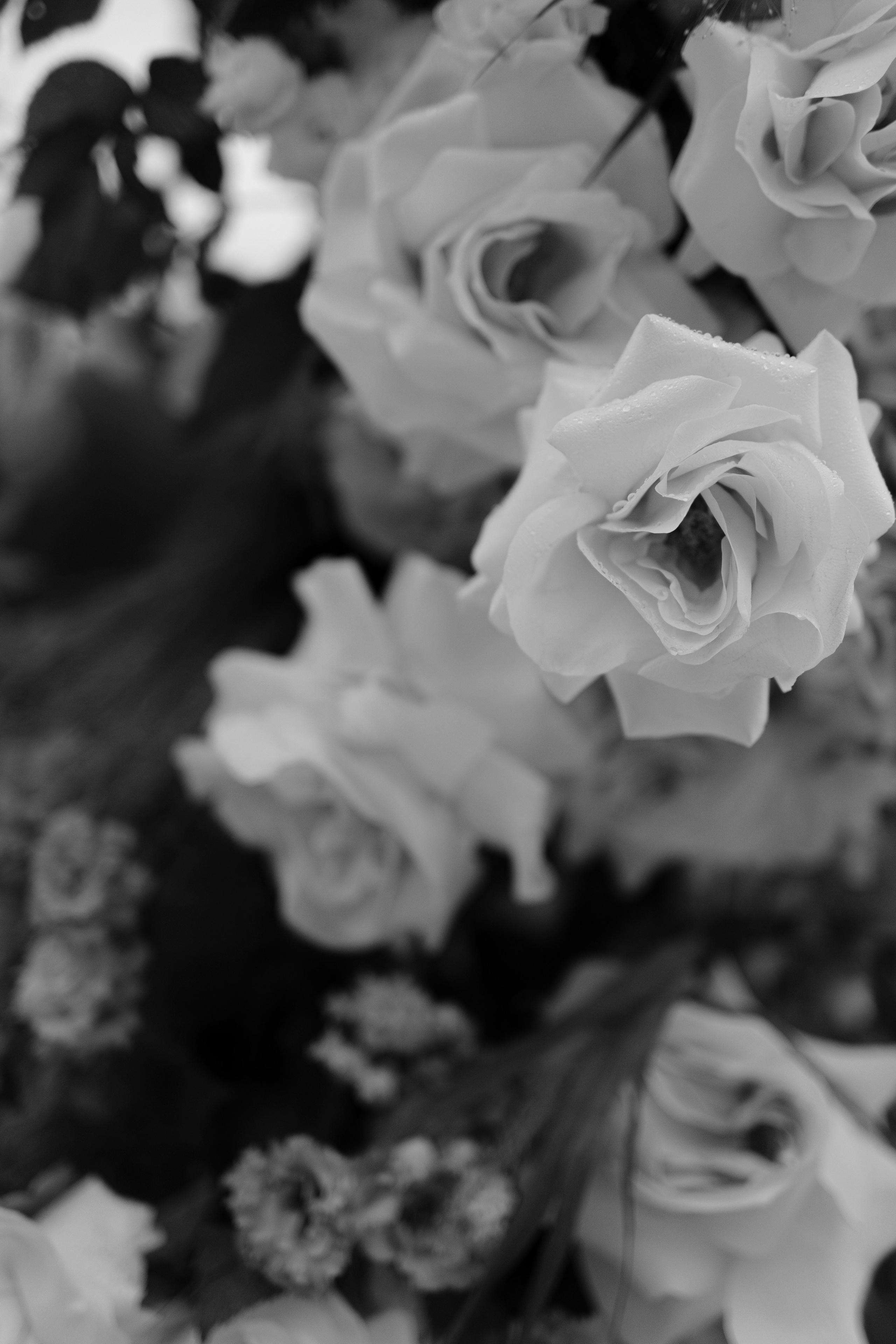 Свадьба Никиты и Анны. Фотограф Кольчугино/Владимир/Москва Елизавета Иода