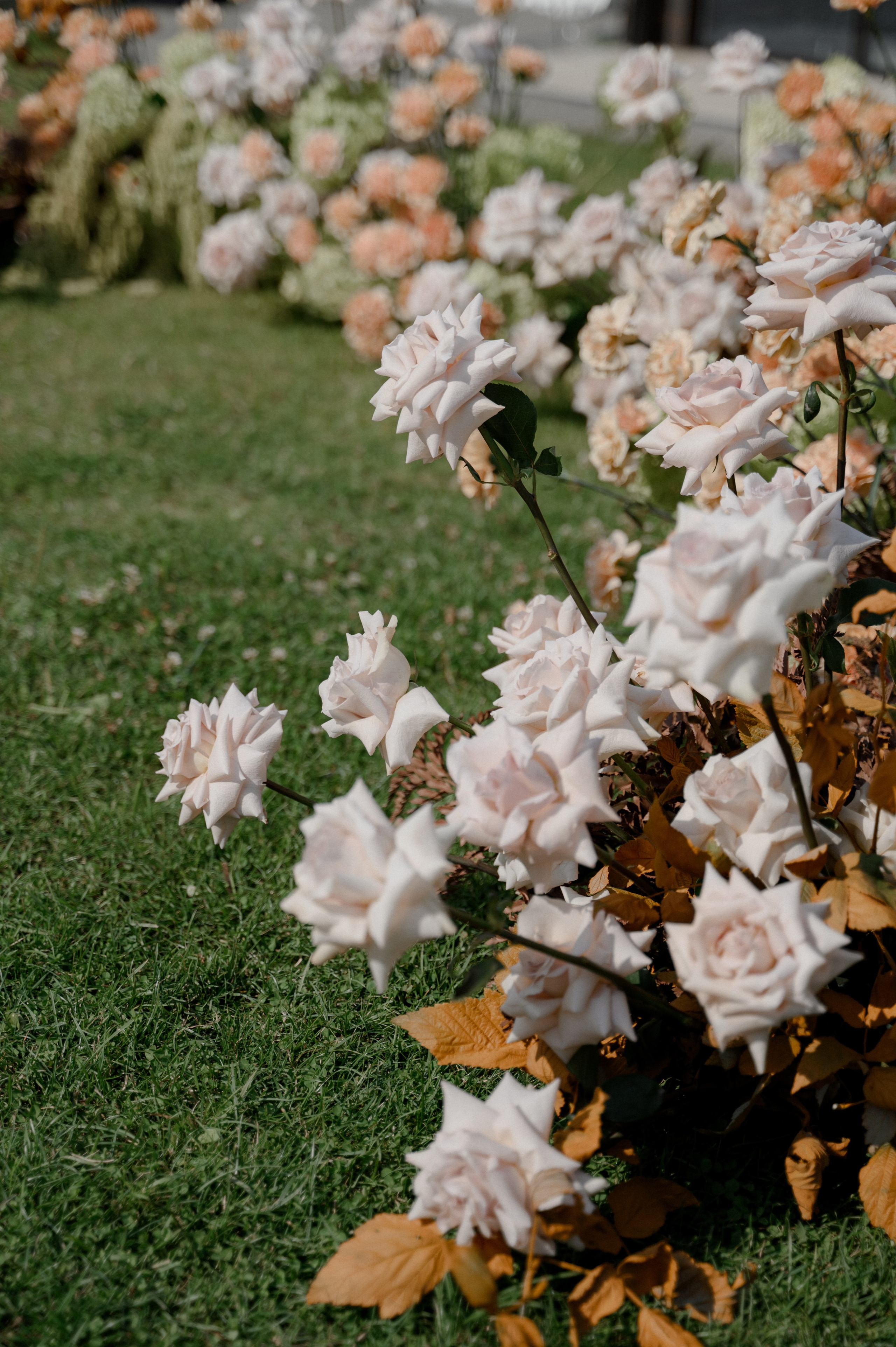Эльшад и Настя. Свадебный фотограф Минск