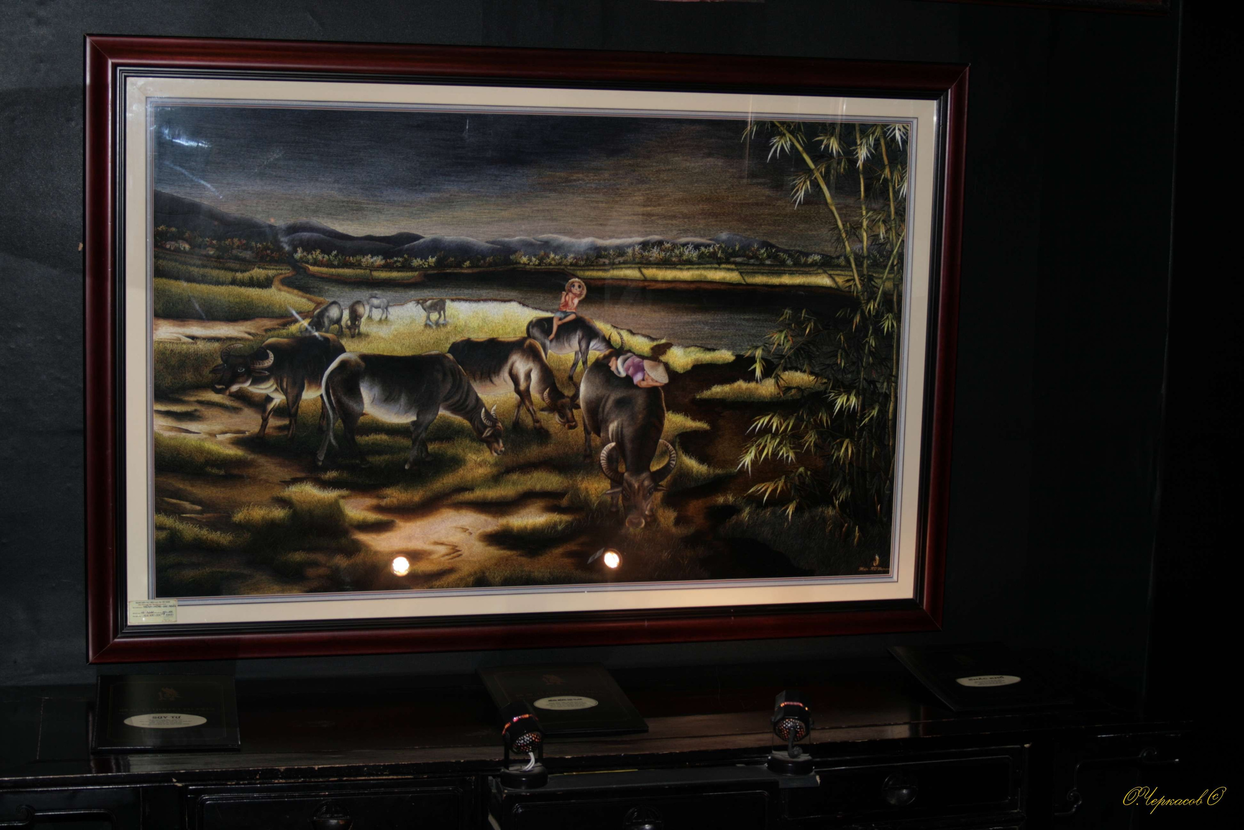 Вьетнам 2008 г. Улица, люди, жизнь…