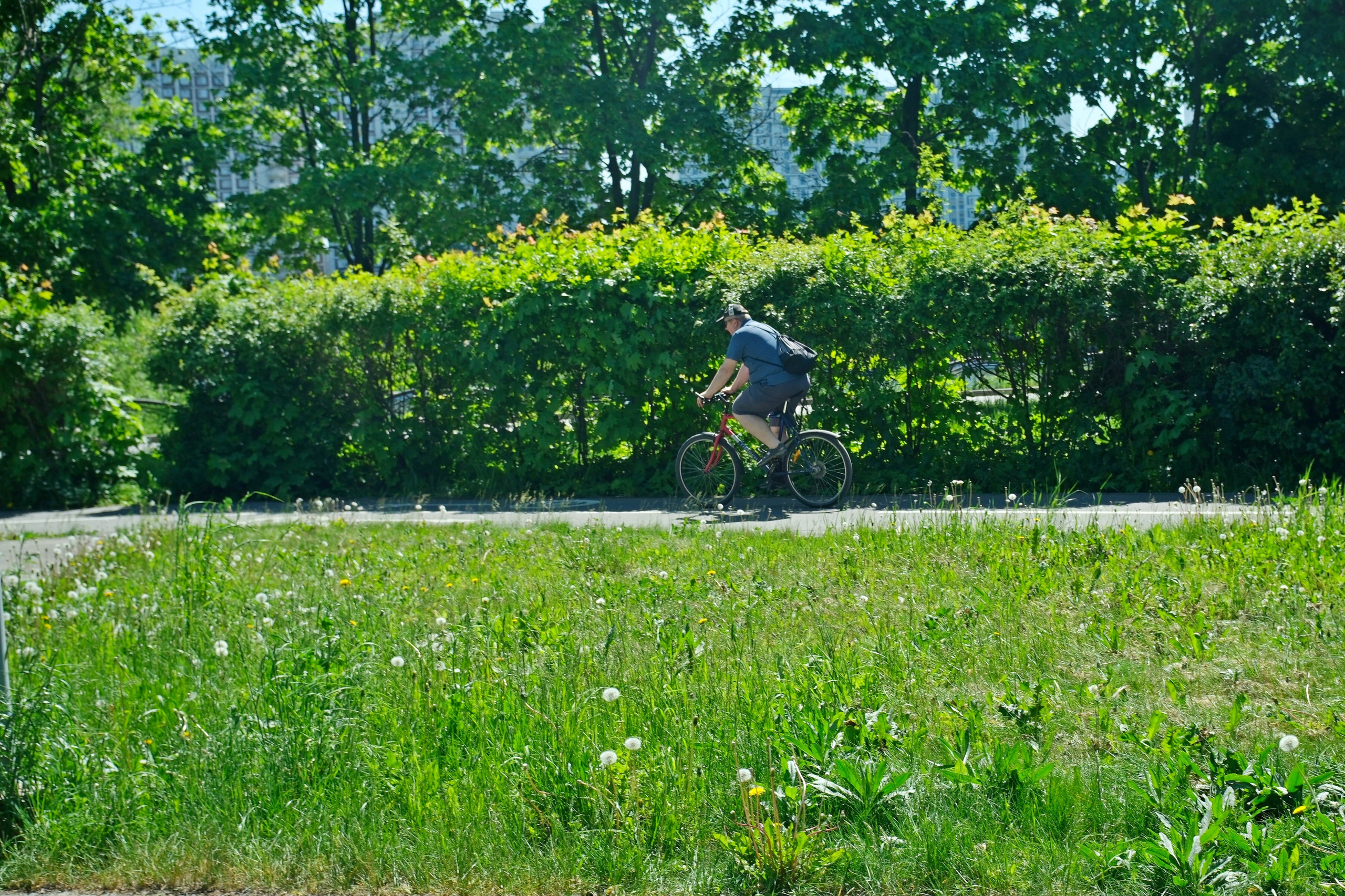 Парк 850 лет Москве. Улица, люди, жизнь…