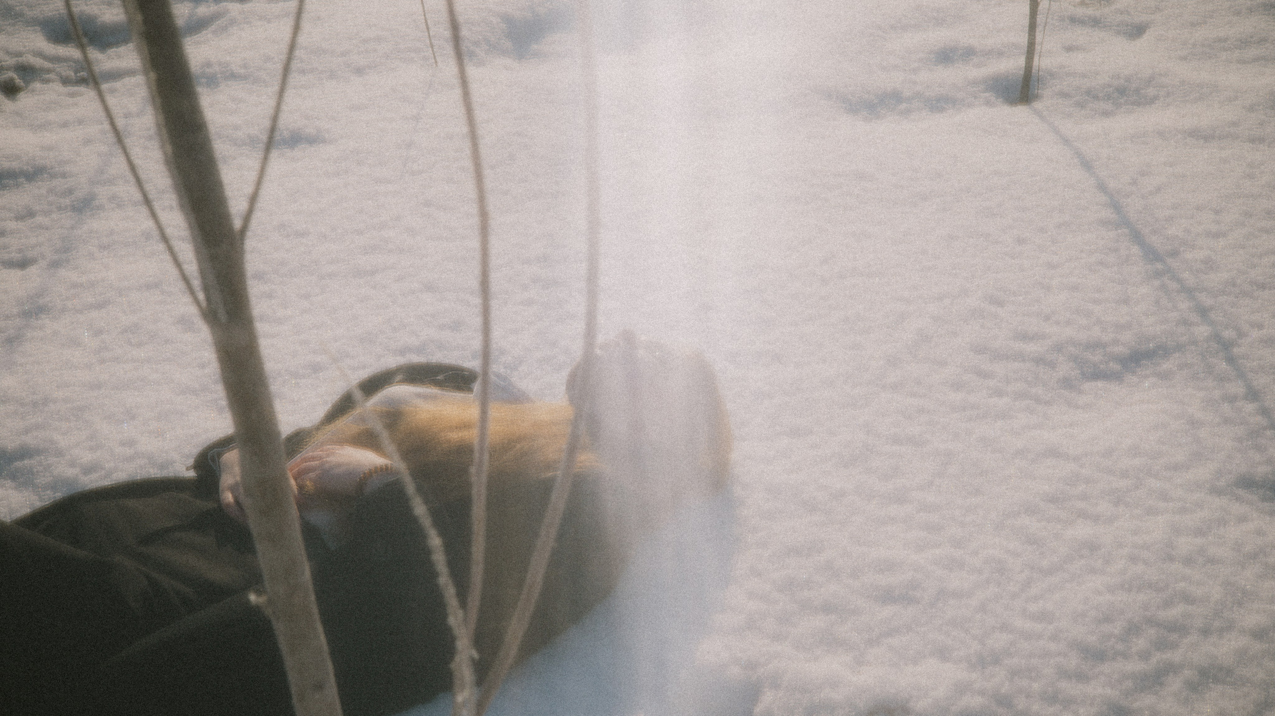 After winter. Фотограф Бишкек