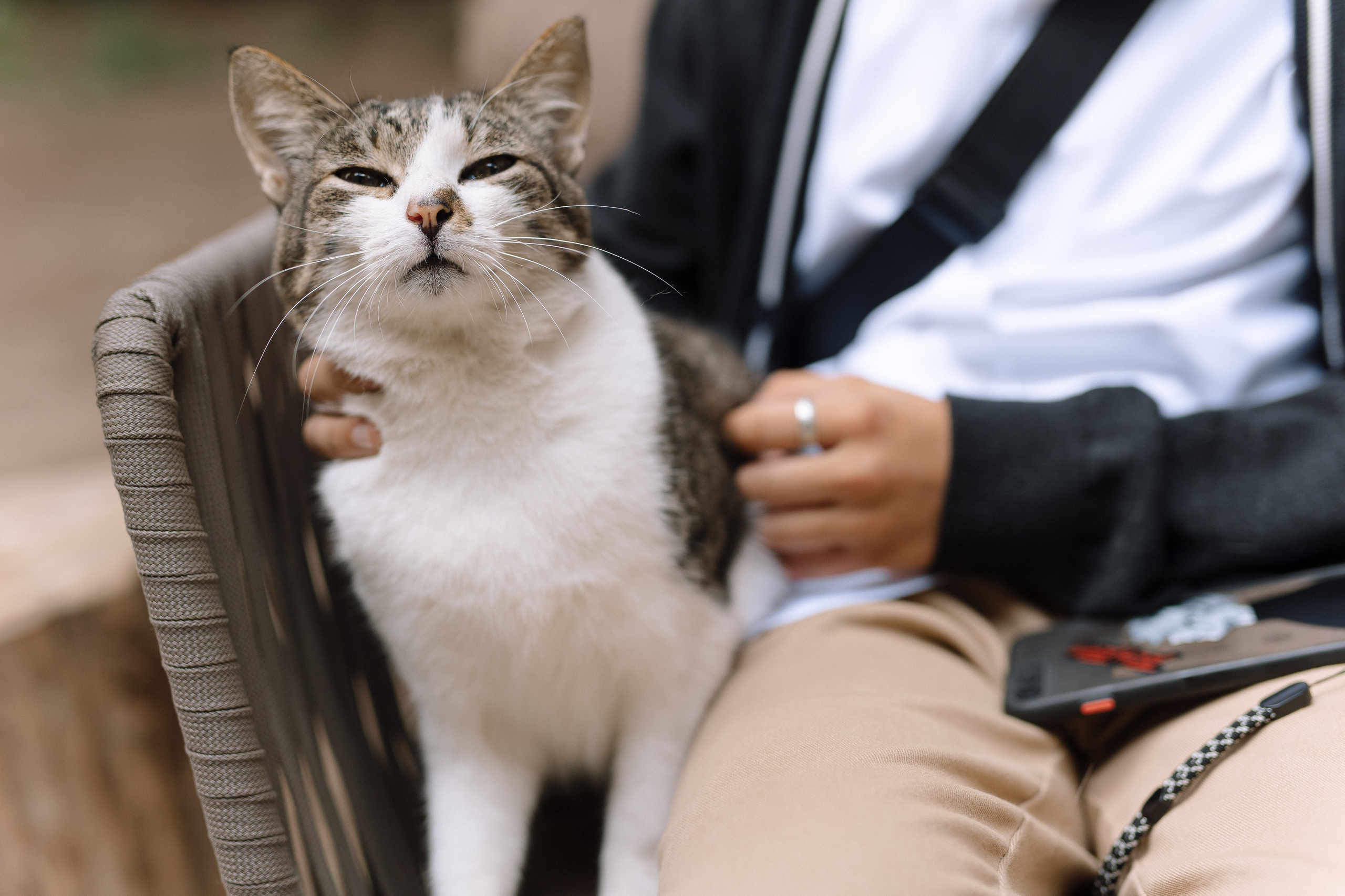 Anastasya/Anton. Свадебный фотограф Павел Князев