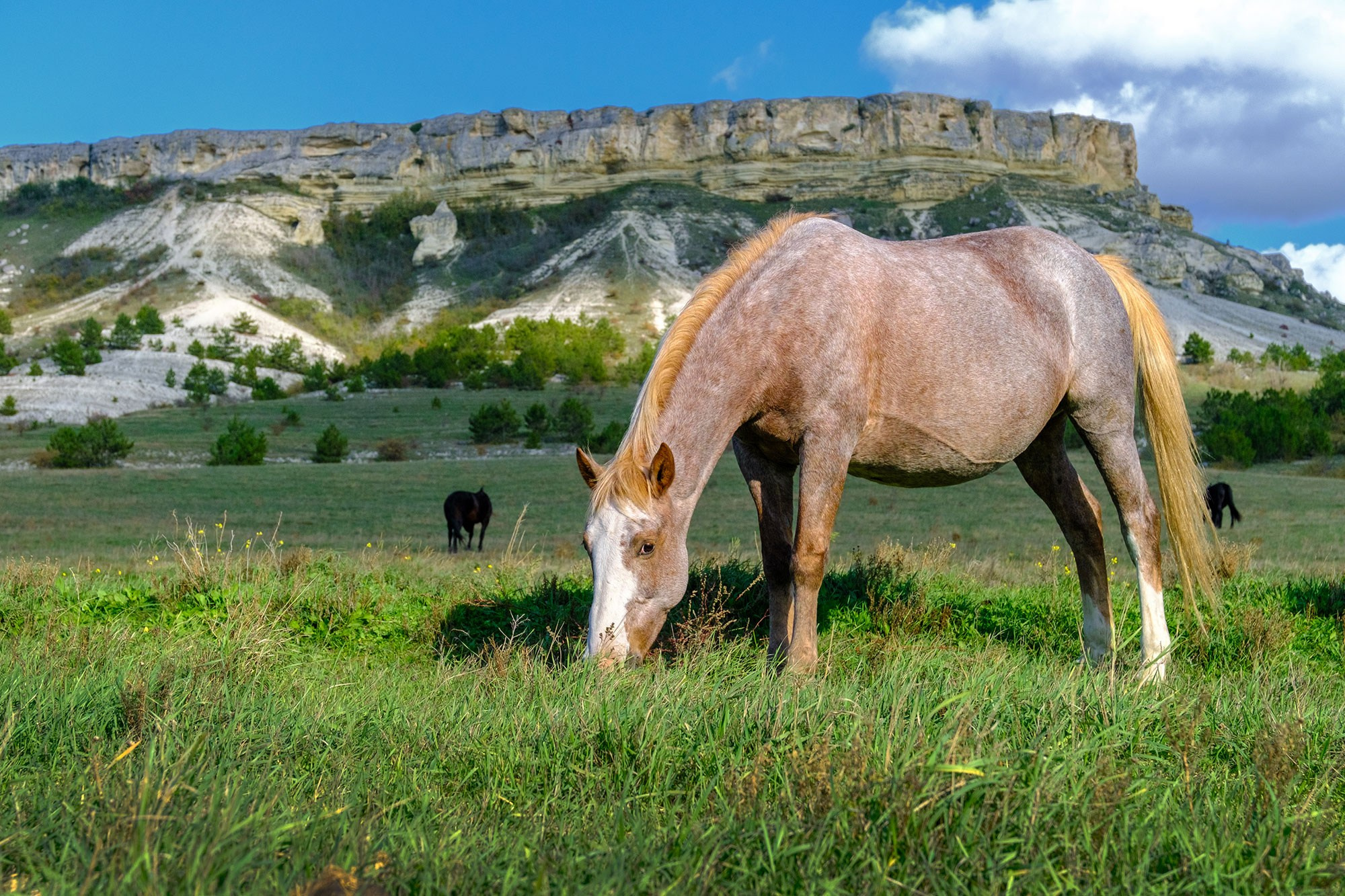 «Золотая осень в Крыму 2025»