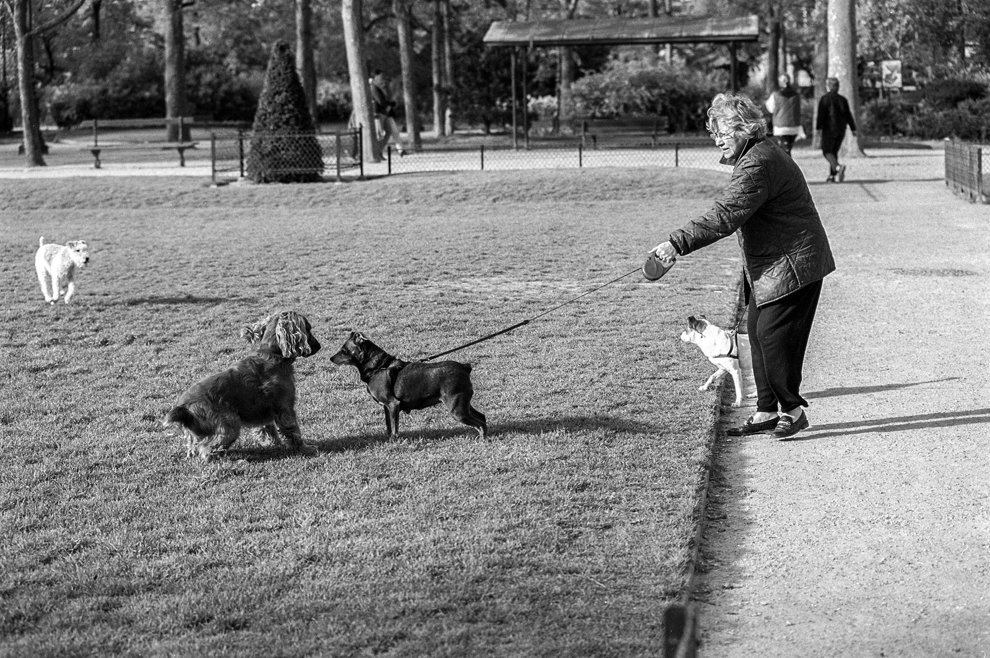 Свадебный фотограф в Геленджике