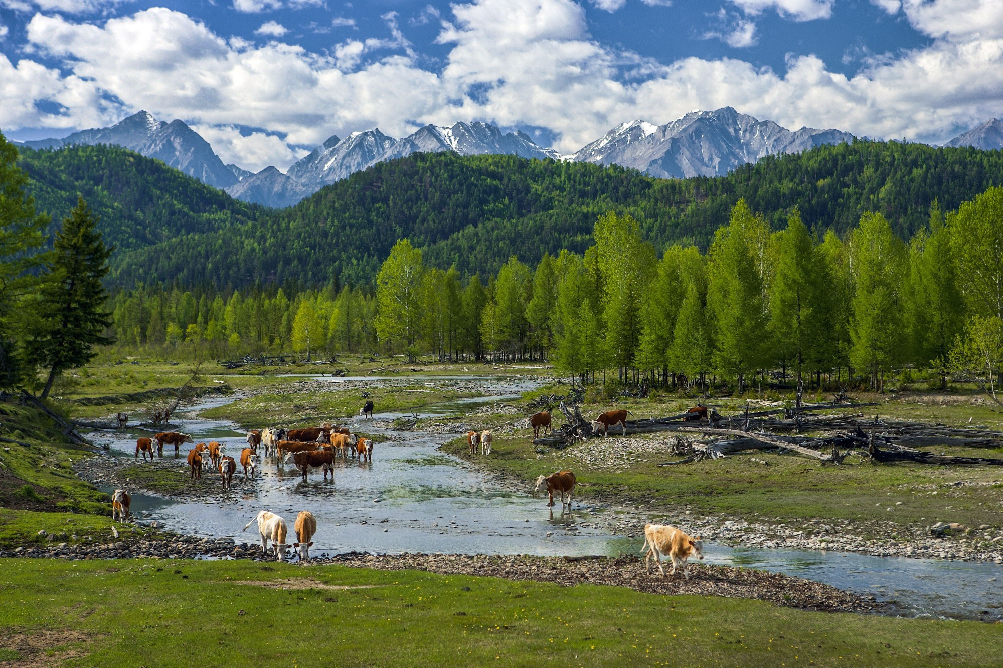 Свадебный фотограф в Геленджике