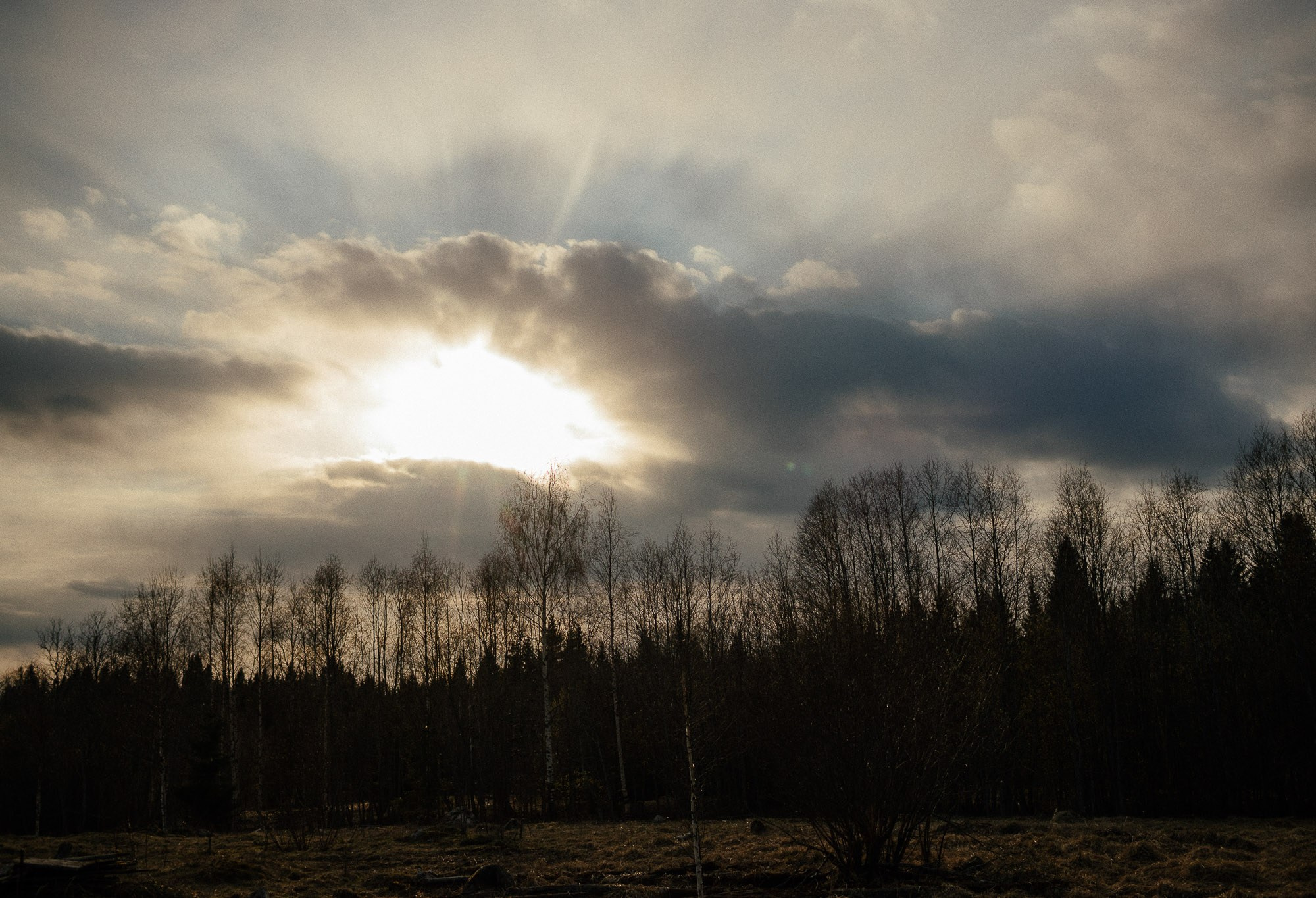 Поездка в карельскую деревню Кинерма 6-7.05.23. Портретный и свадебный фотограф в Санкт-Петербурге Ольга Филиппова