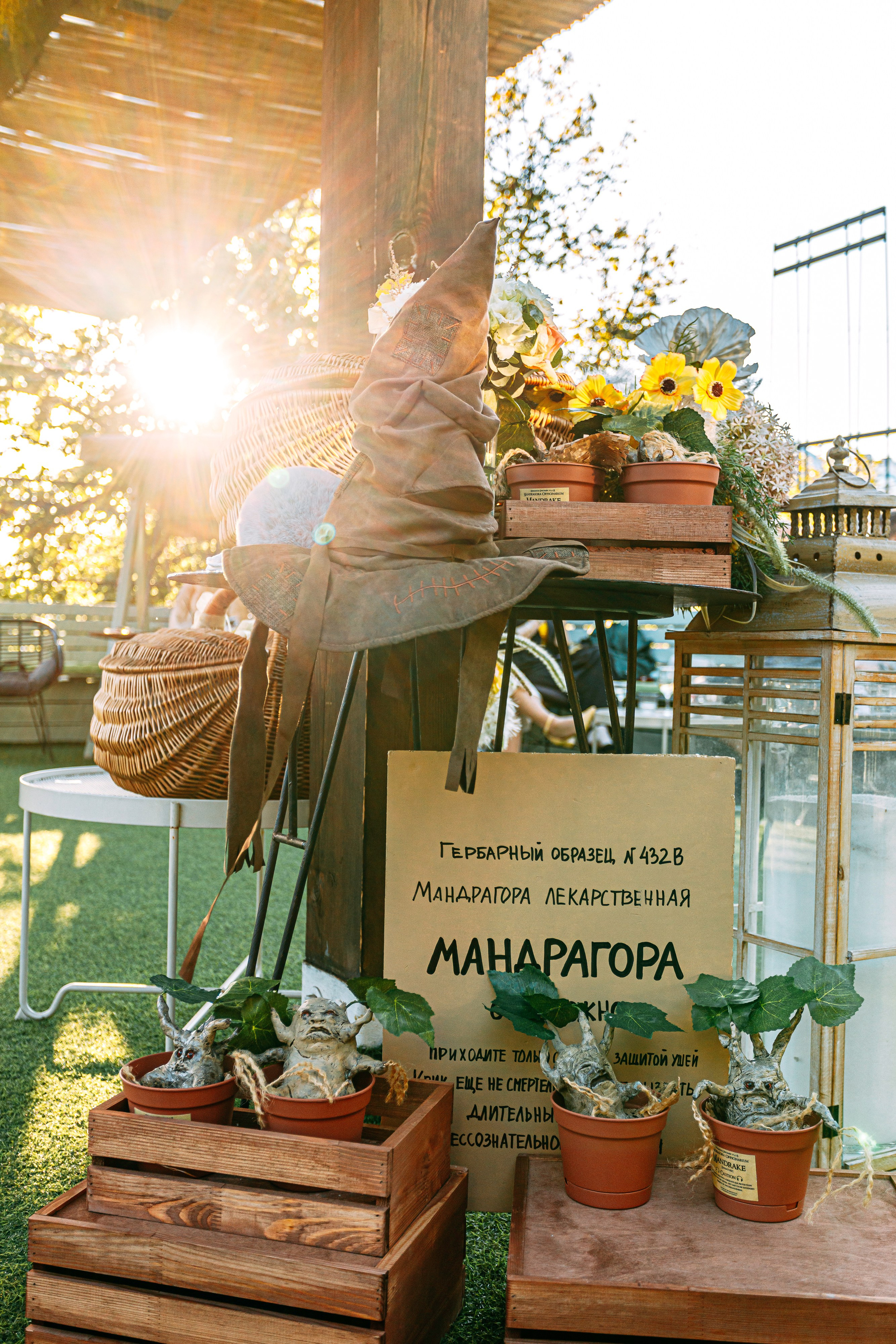 ШАЛОСТЬ УДАЛАСЬ