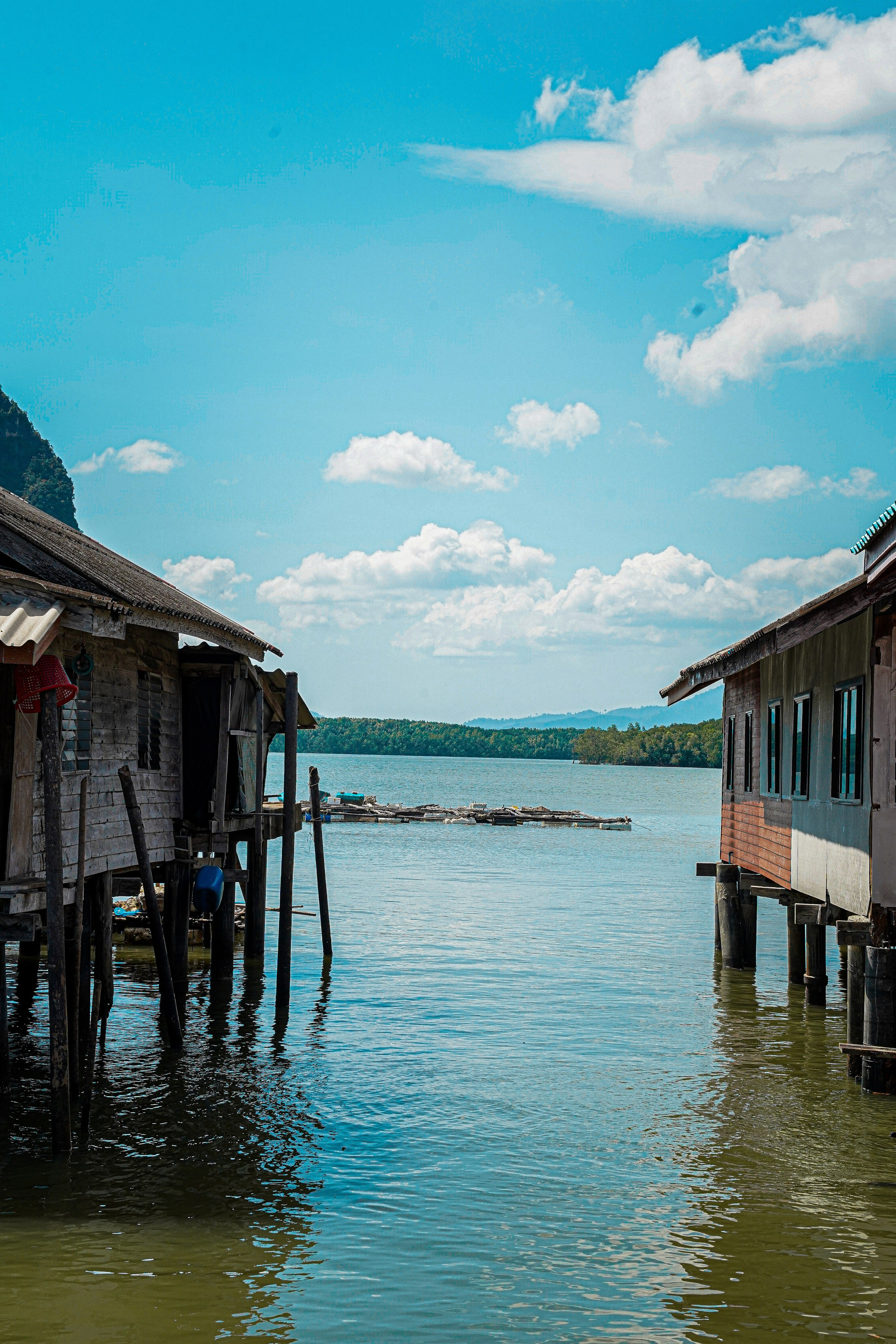 Архитектура и природа. Главная