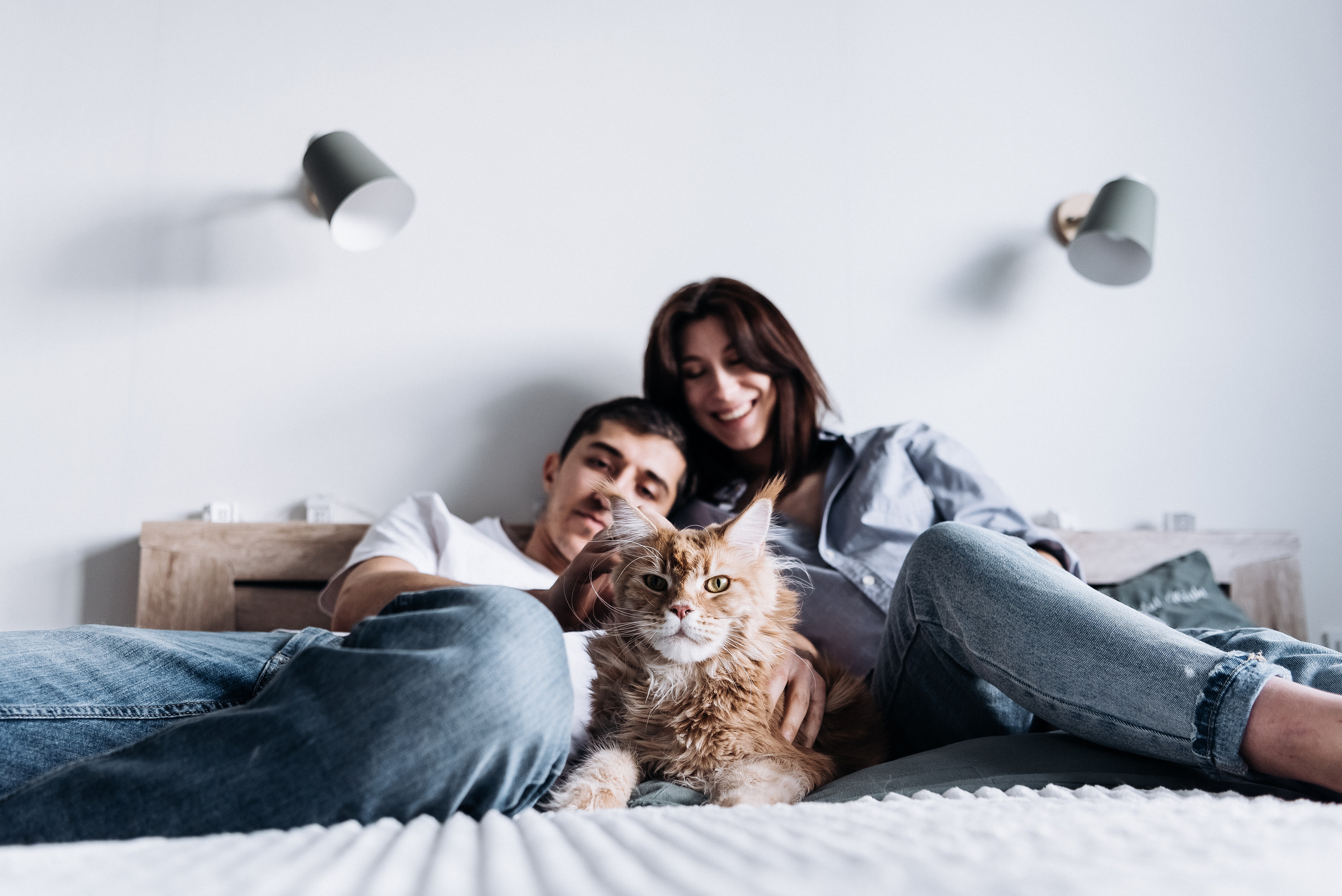 Анжела Дима и коты