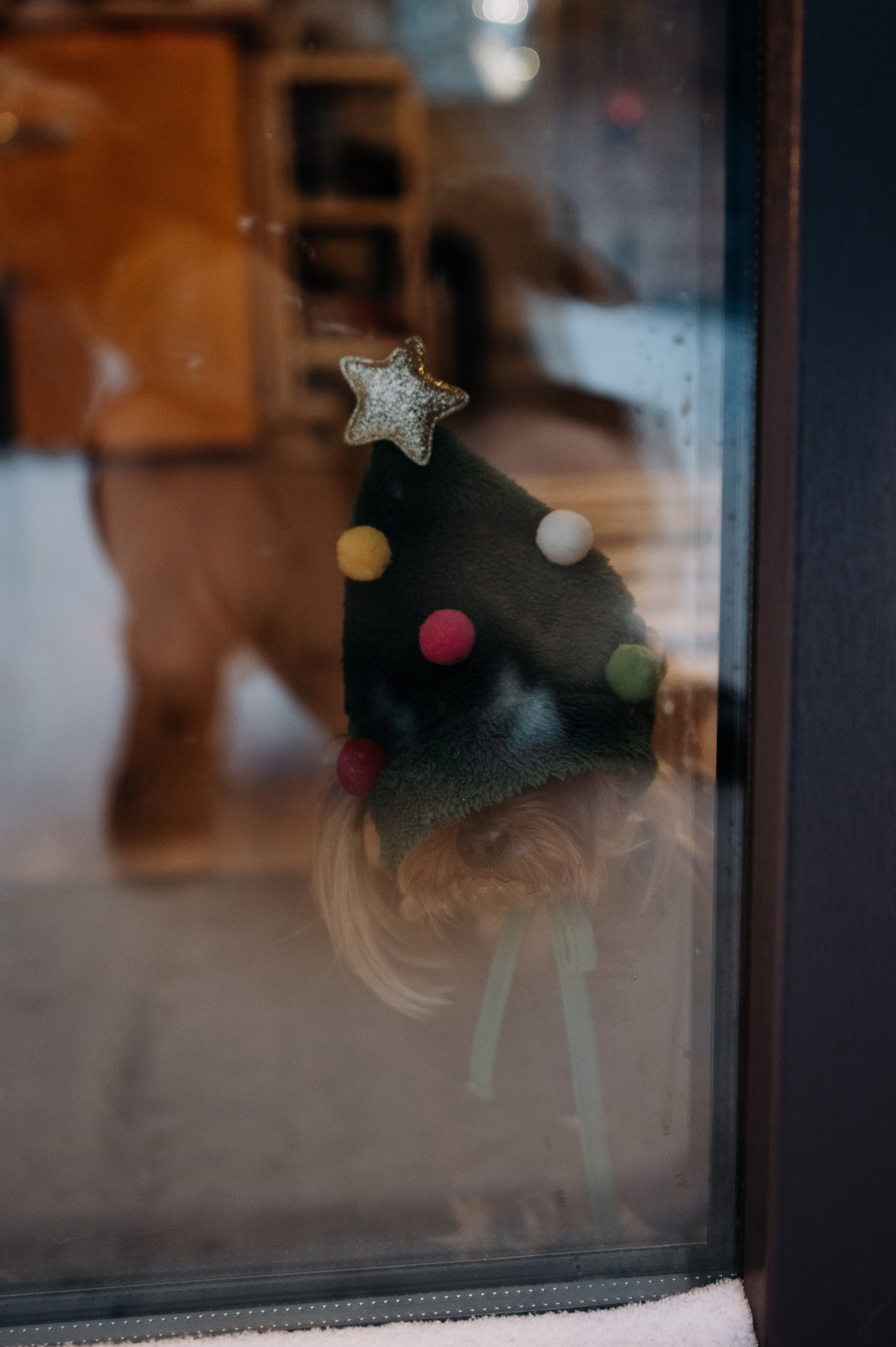 Оля, Саша, Кристина