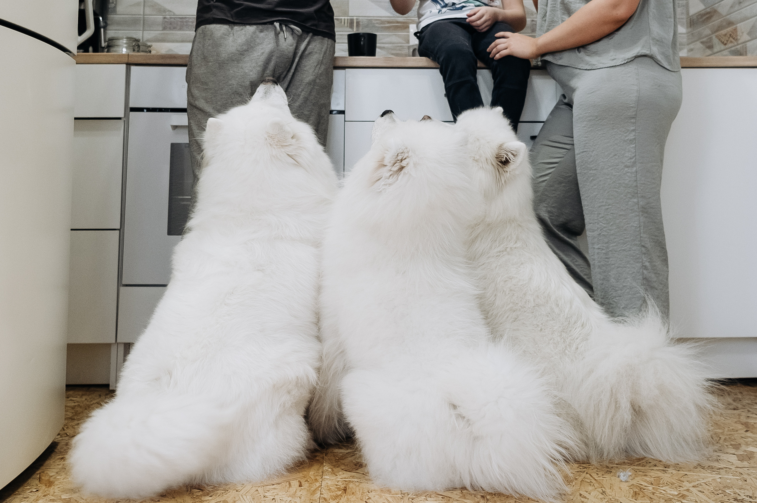 Оля, Саша, Сережа