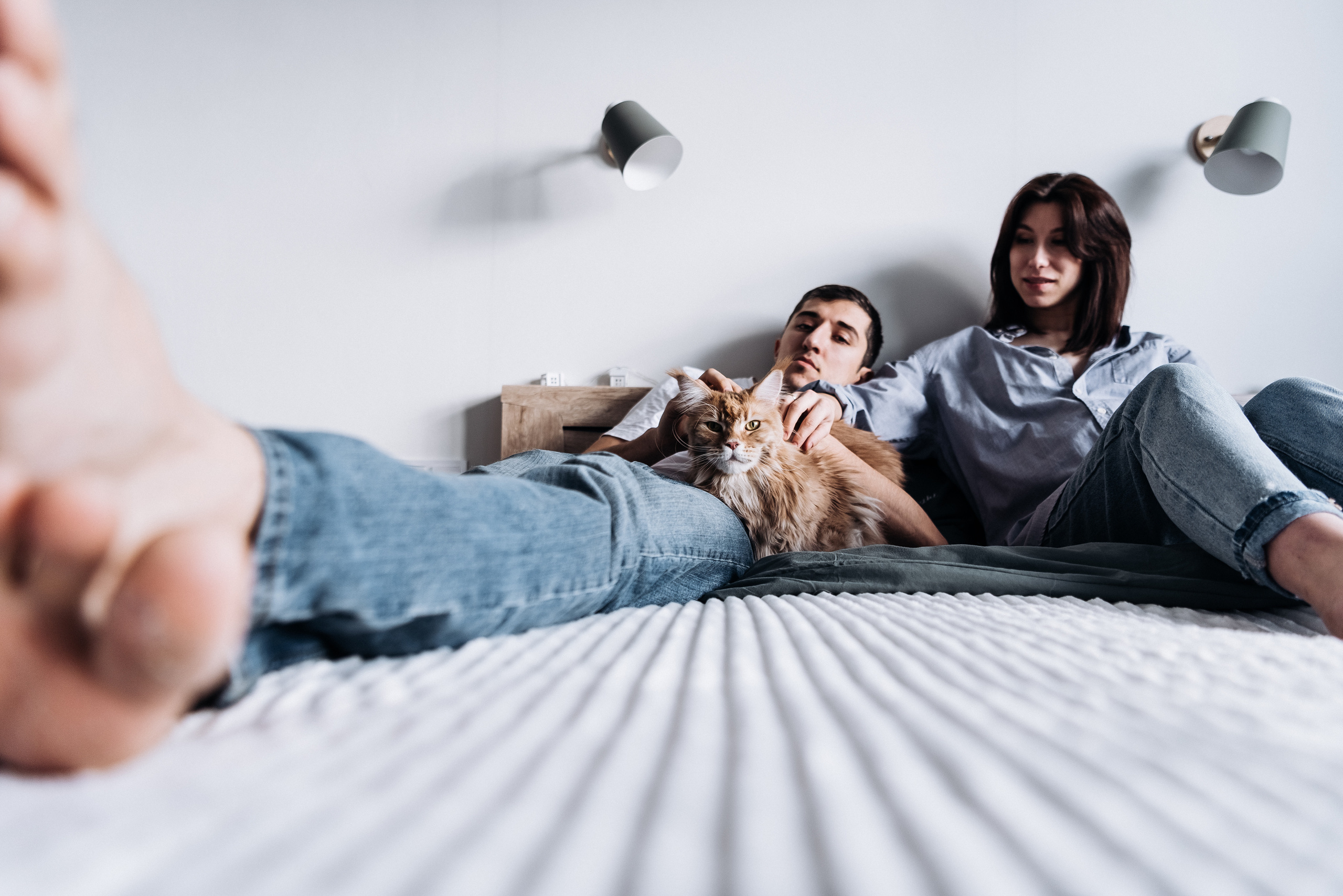 Анжела Дима и коты