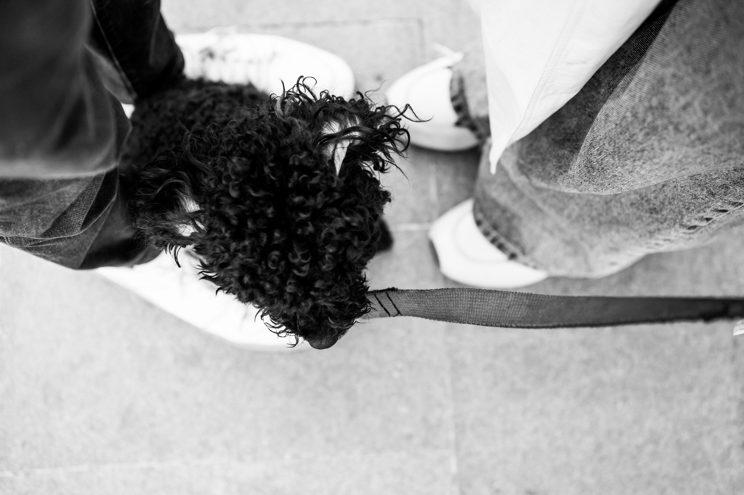 Алина и Илья