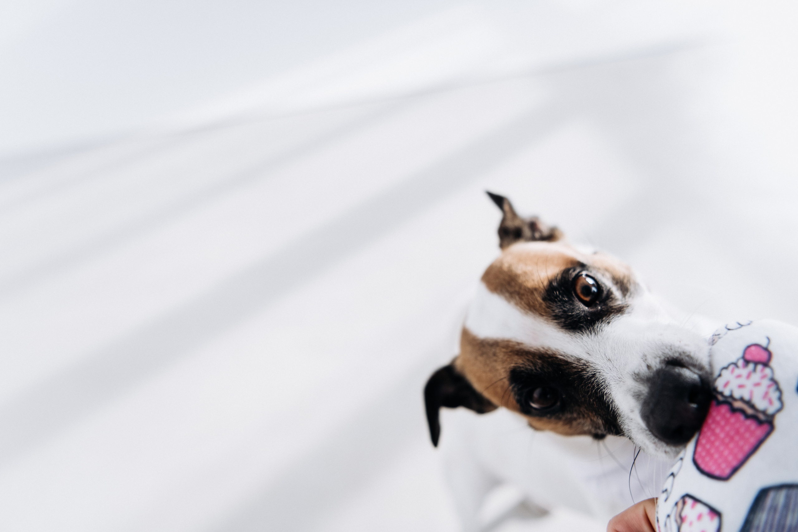 Таня и Денди