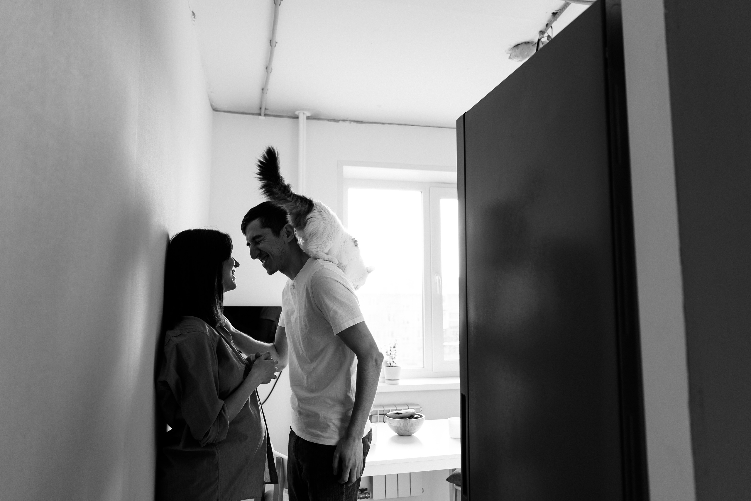 Анжела Дима и коты