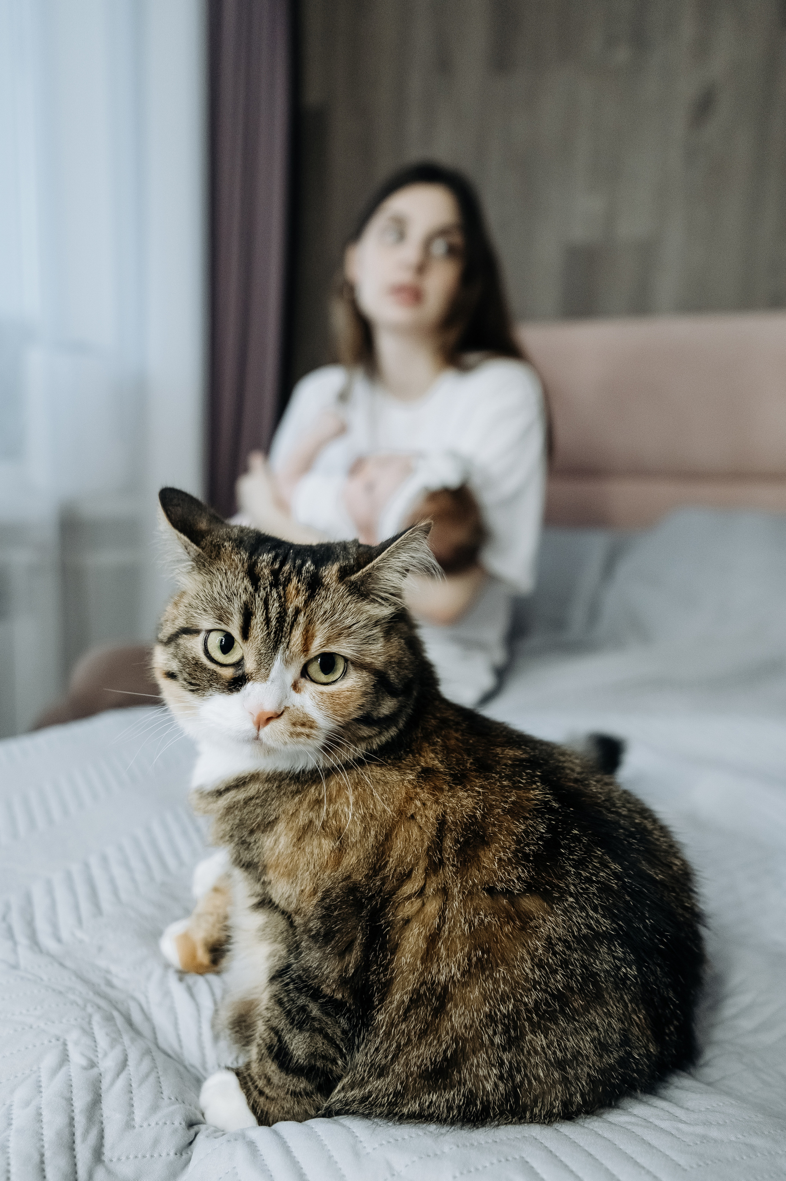 Катя Костя Кира