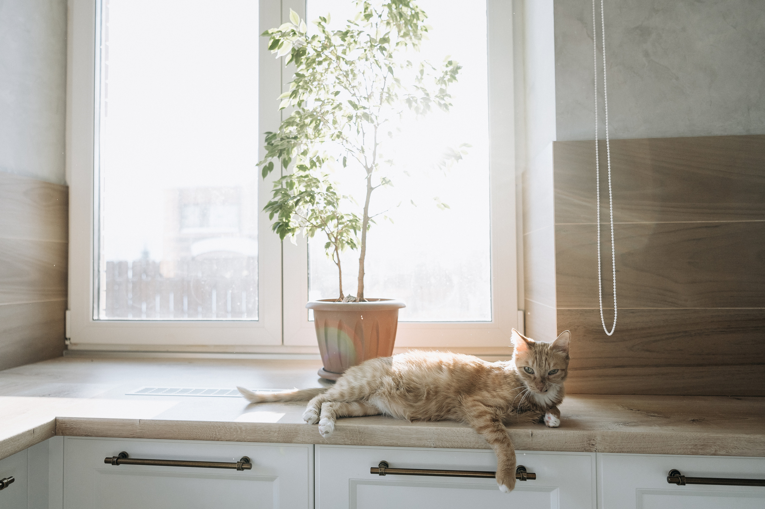 Настя, Денис, Мия