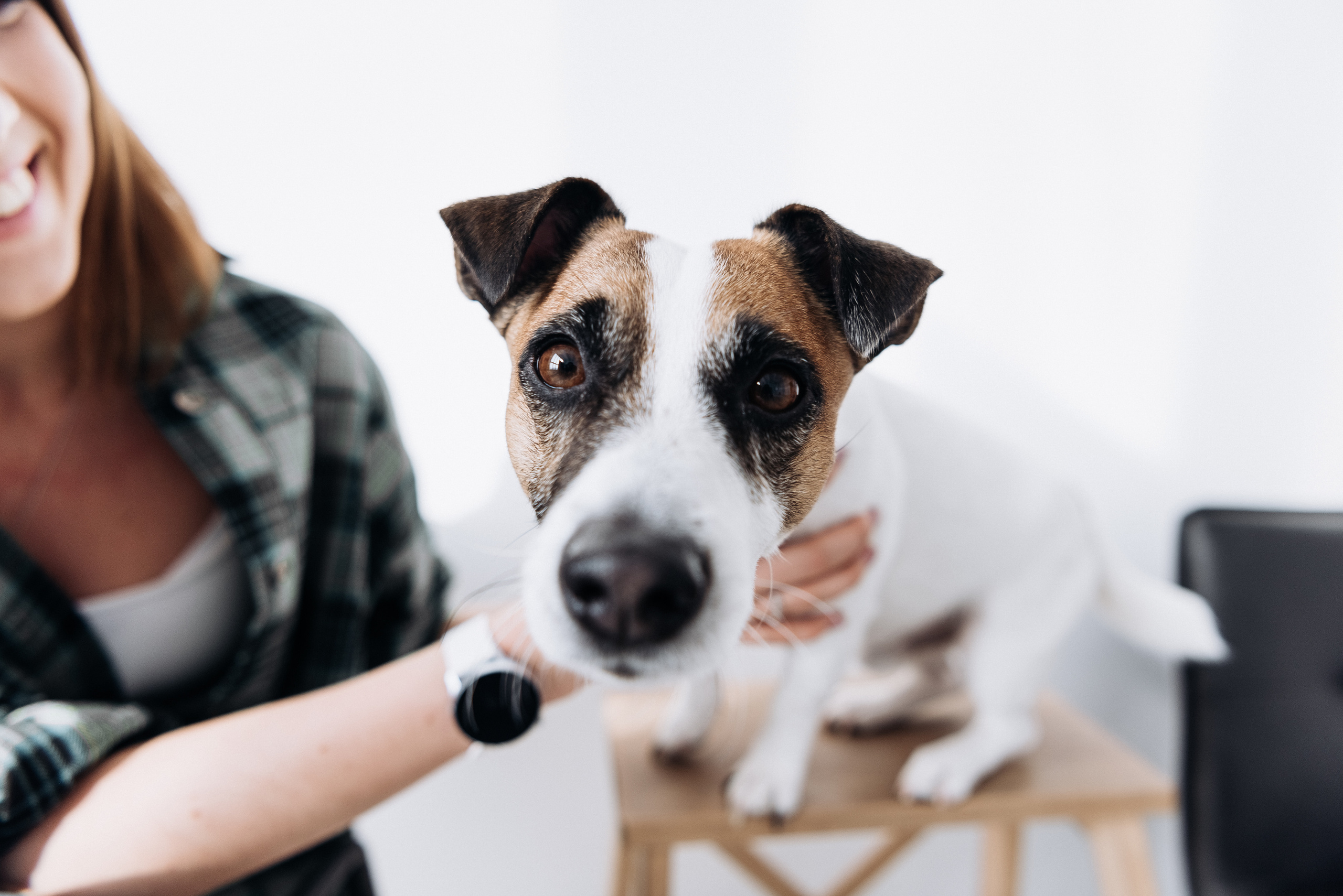 Таня и Денди