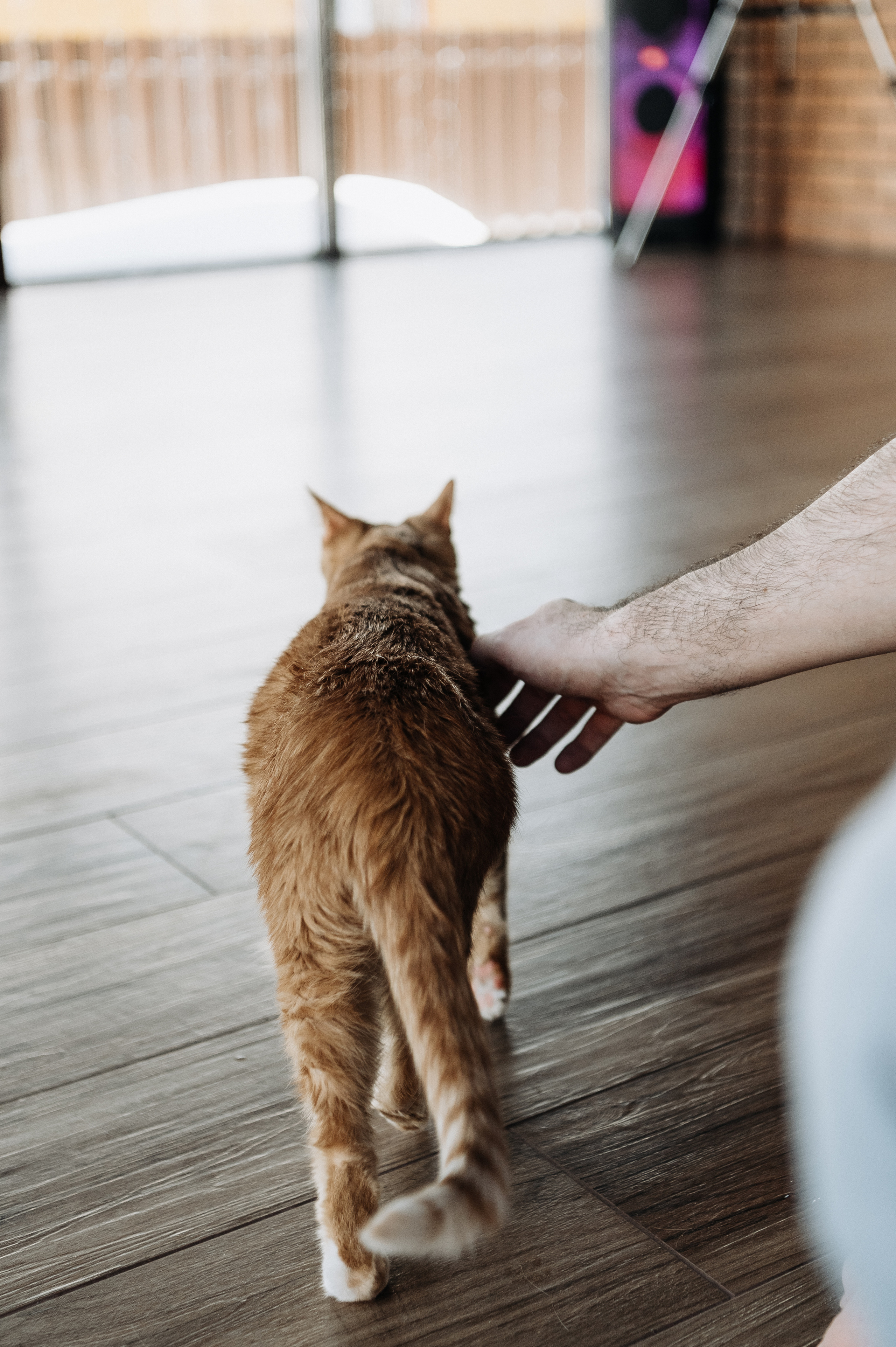 Настя, Денис, Мия