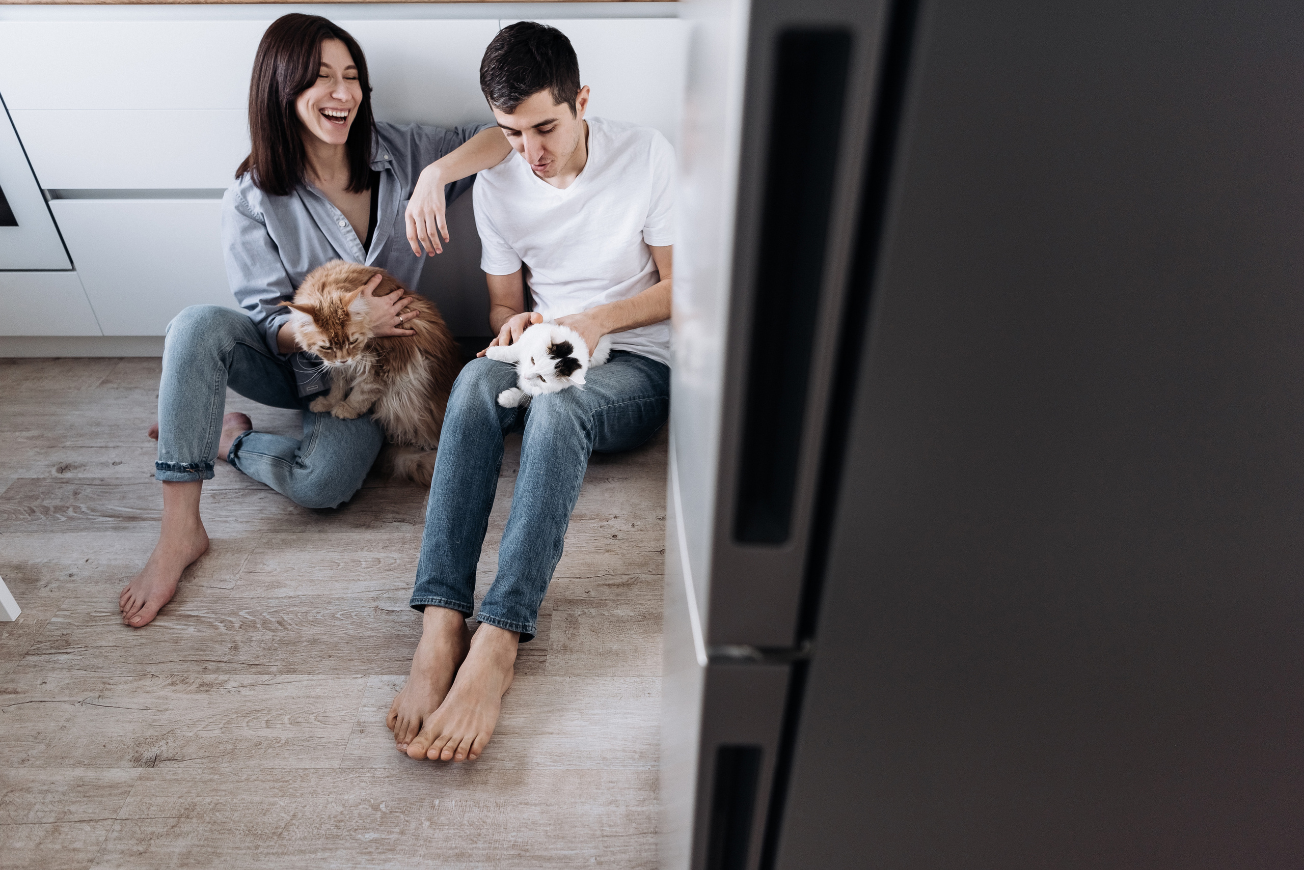 Анжела Дима и коты