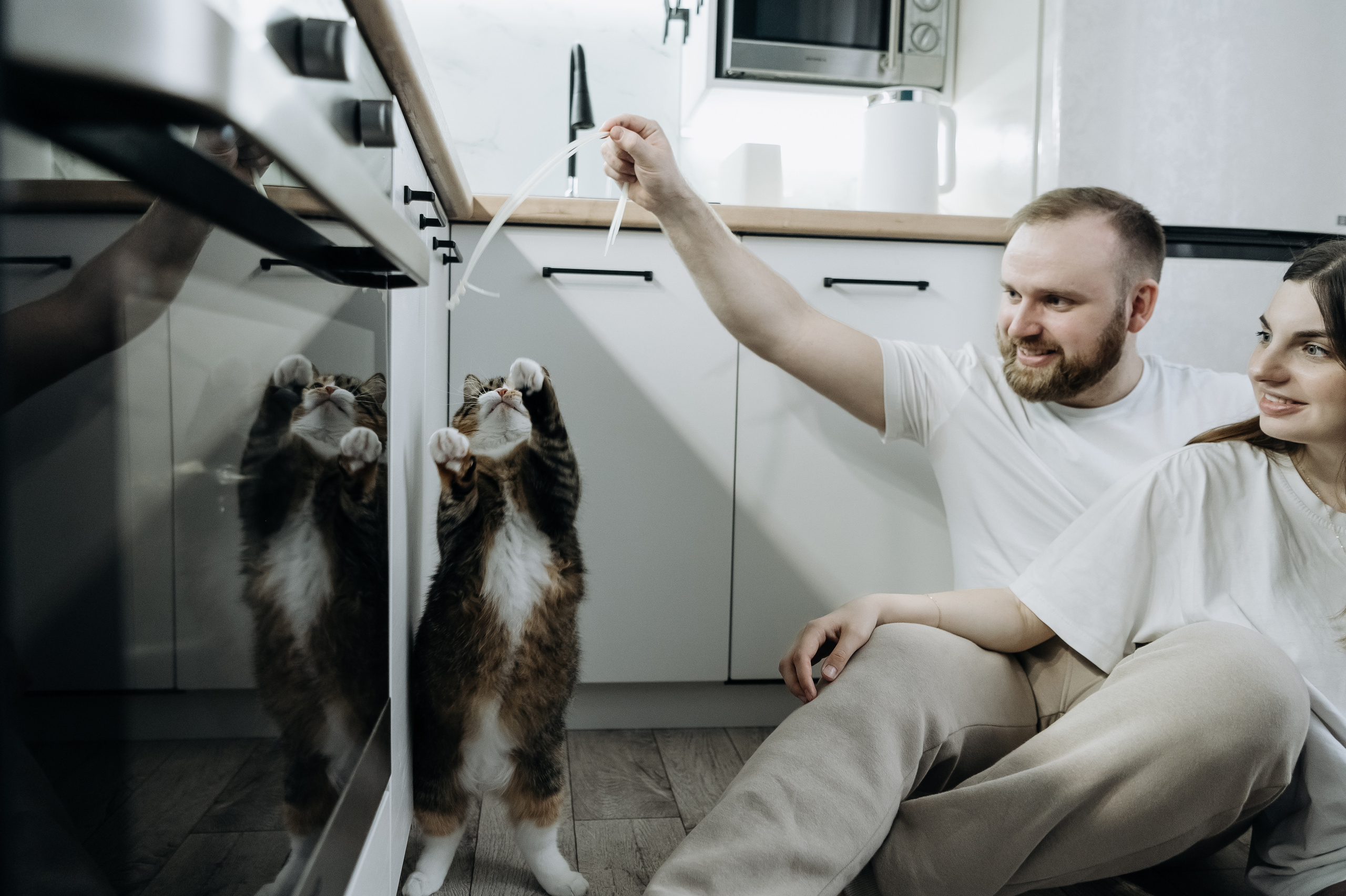 Катя Костя Кира