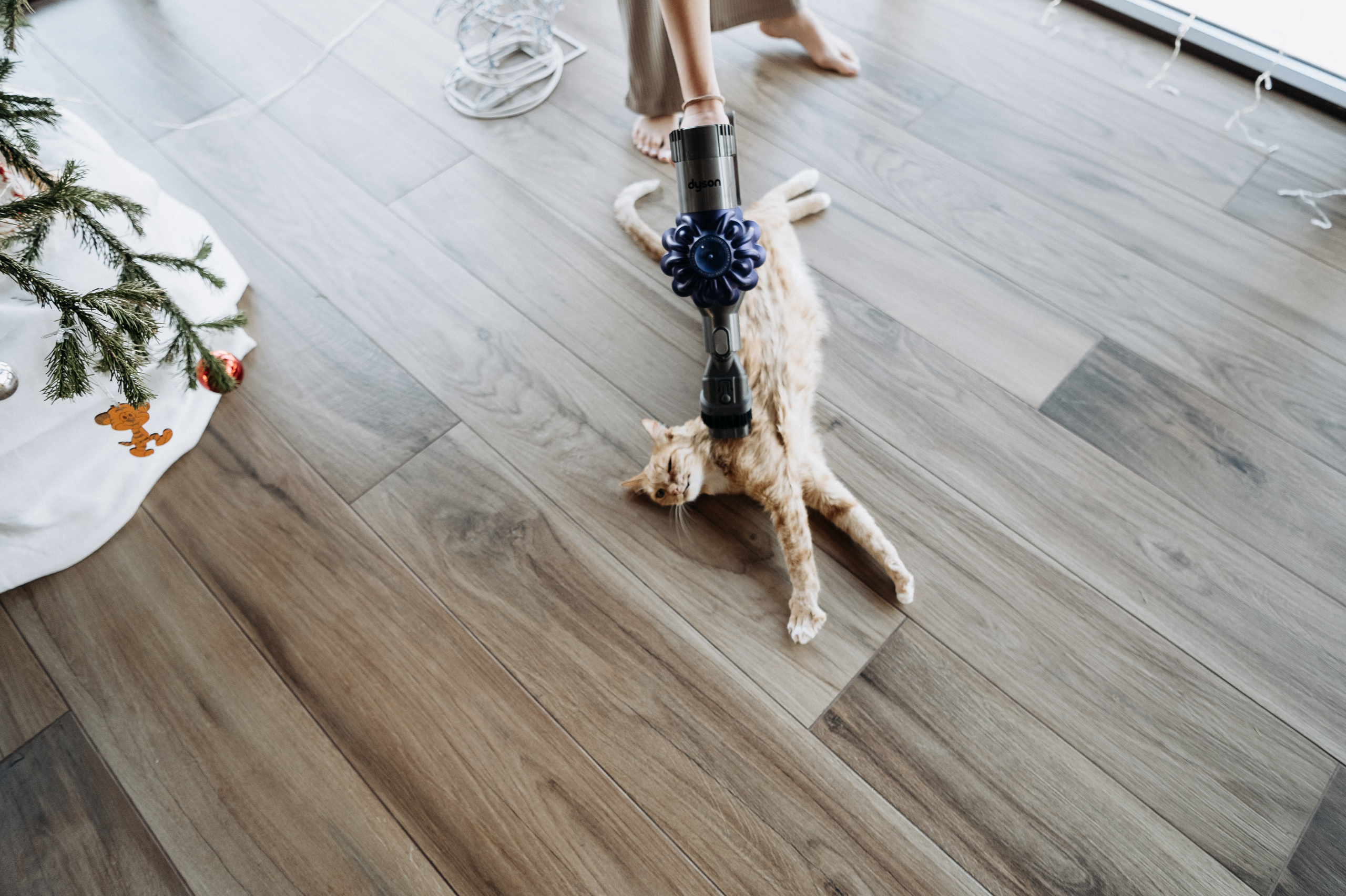 Настя, Денис, Мия