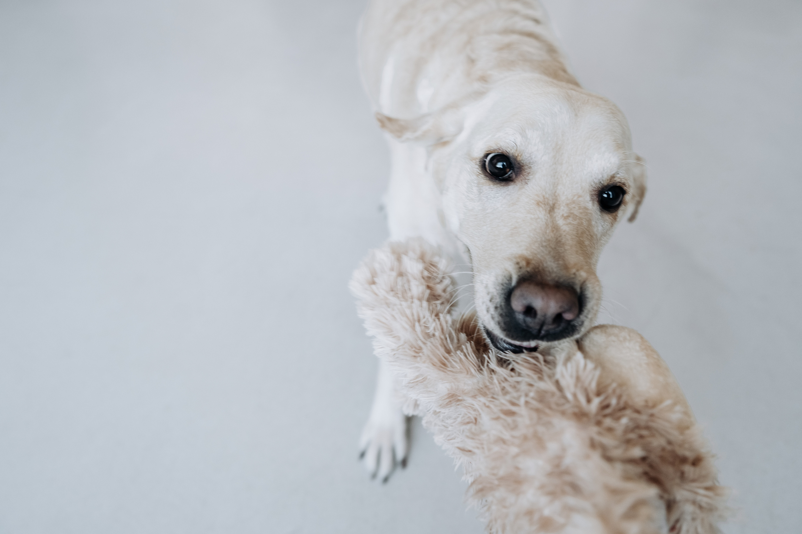 Таня и Джесси