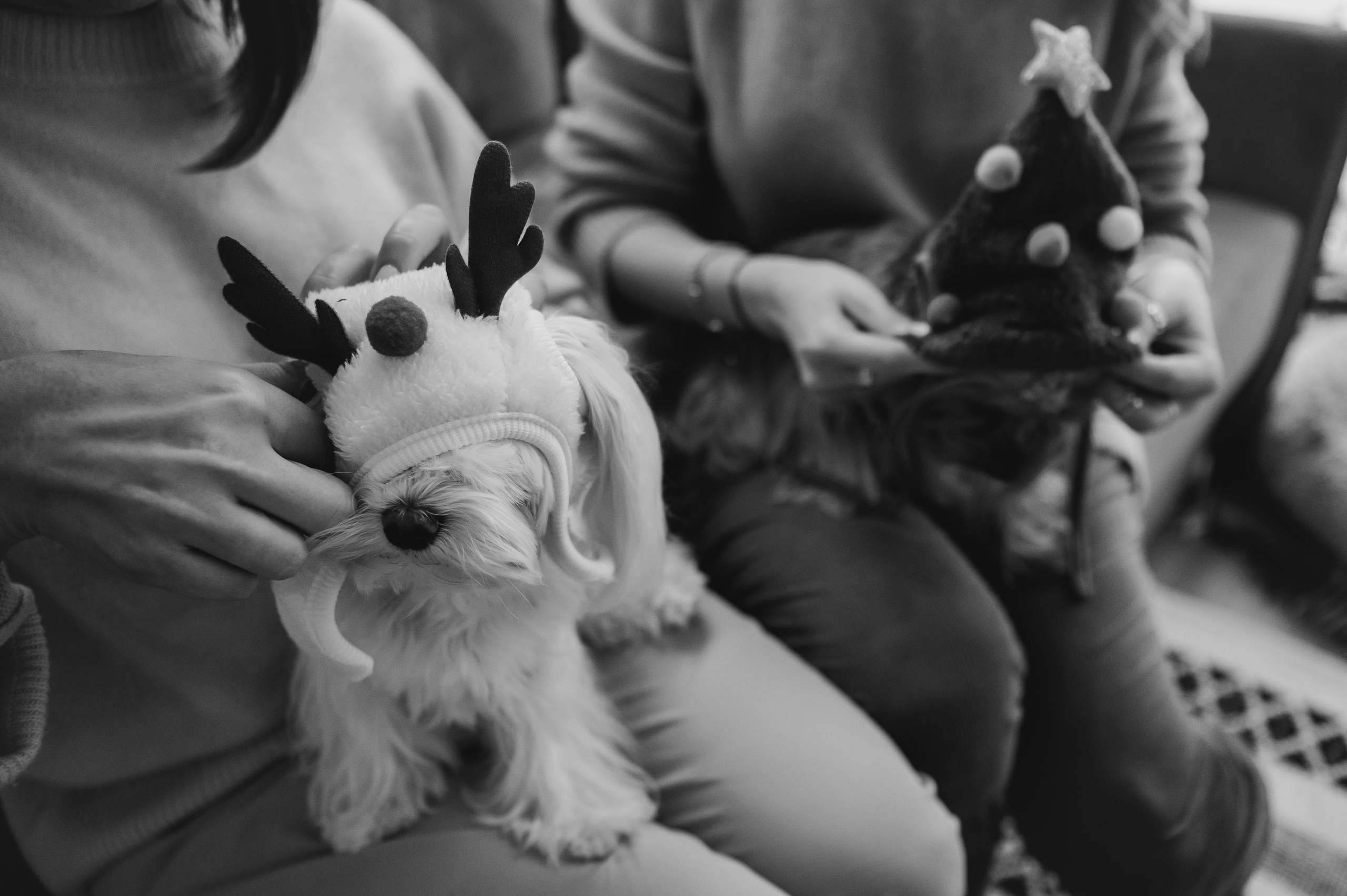 Оля, Саша, Кристина