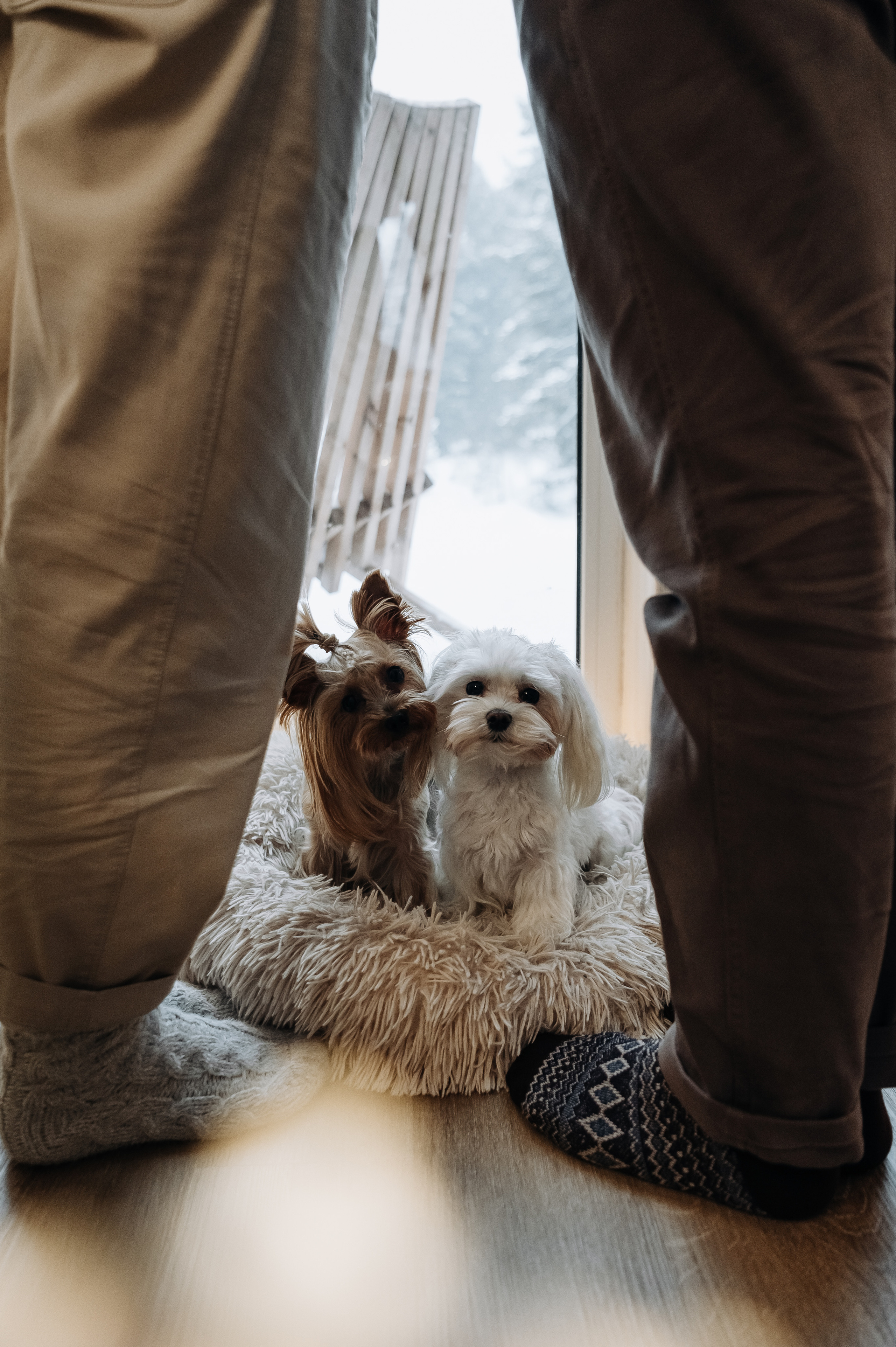 Оля, Саша, Кристина