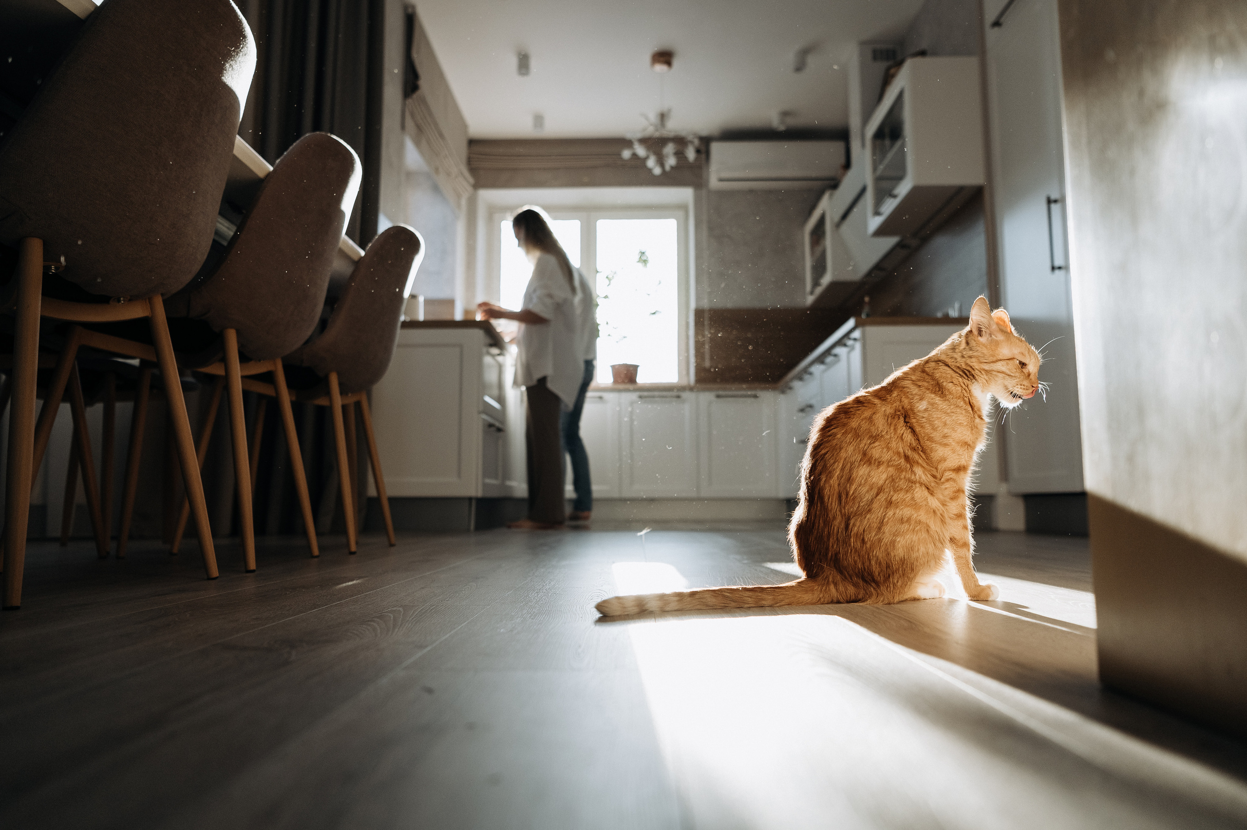 Настя, Денис, Мия