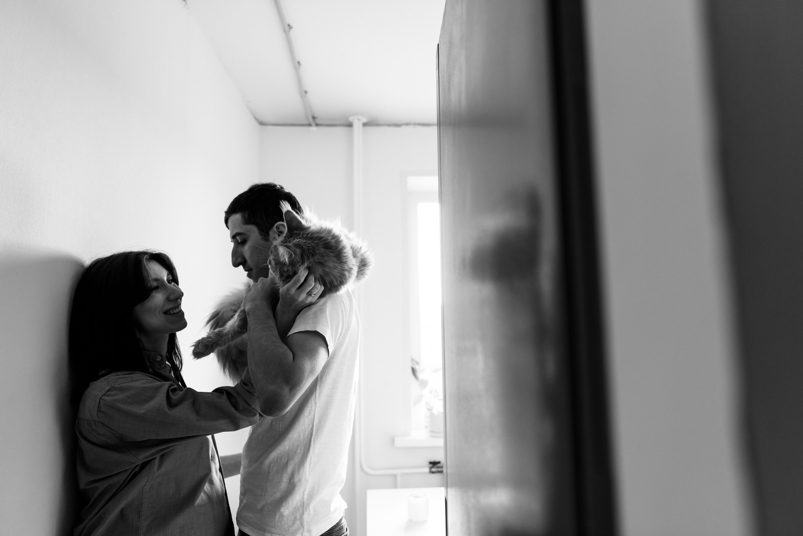 Анжела Дима и коты