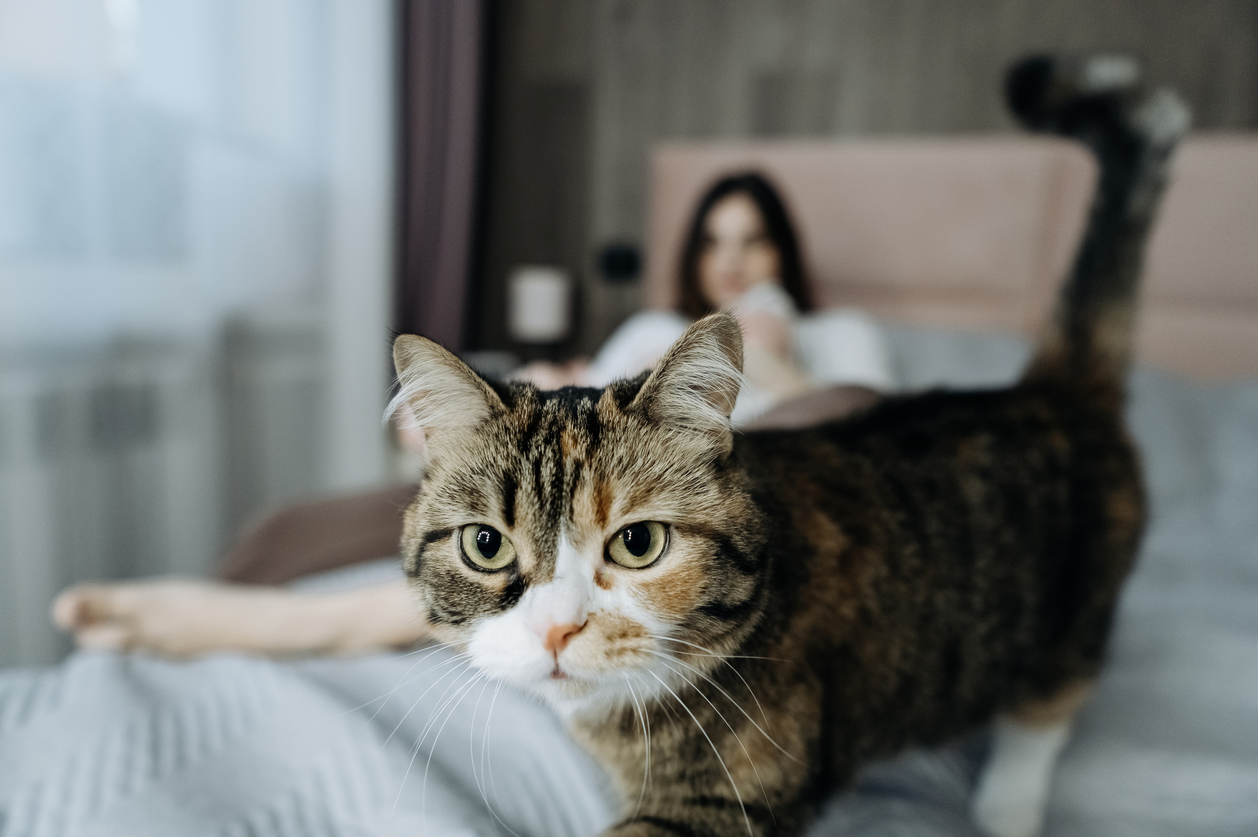 Катя Костя Кира