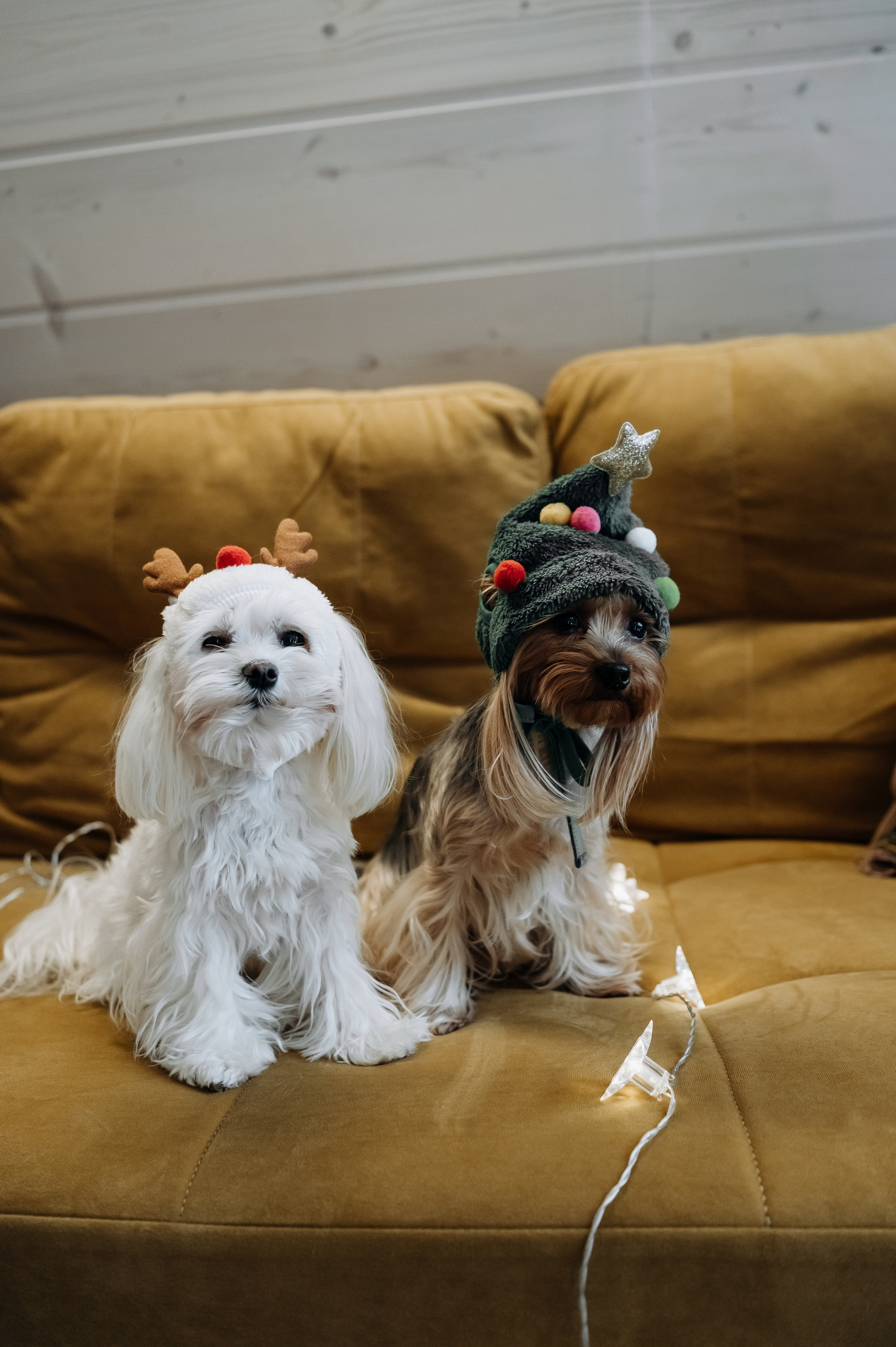 Оля, Саша, Кристина