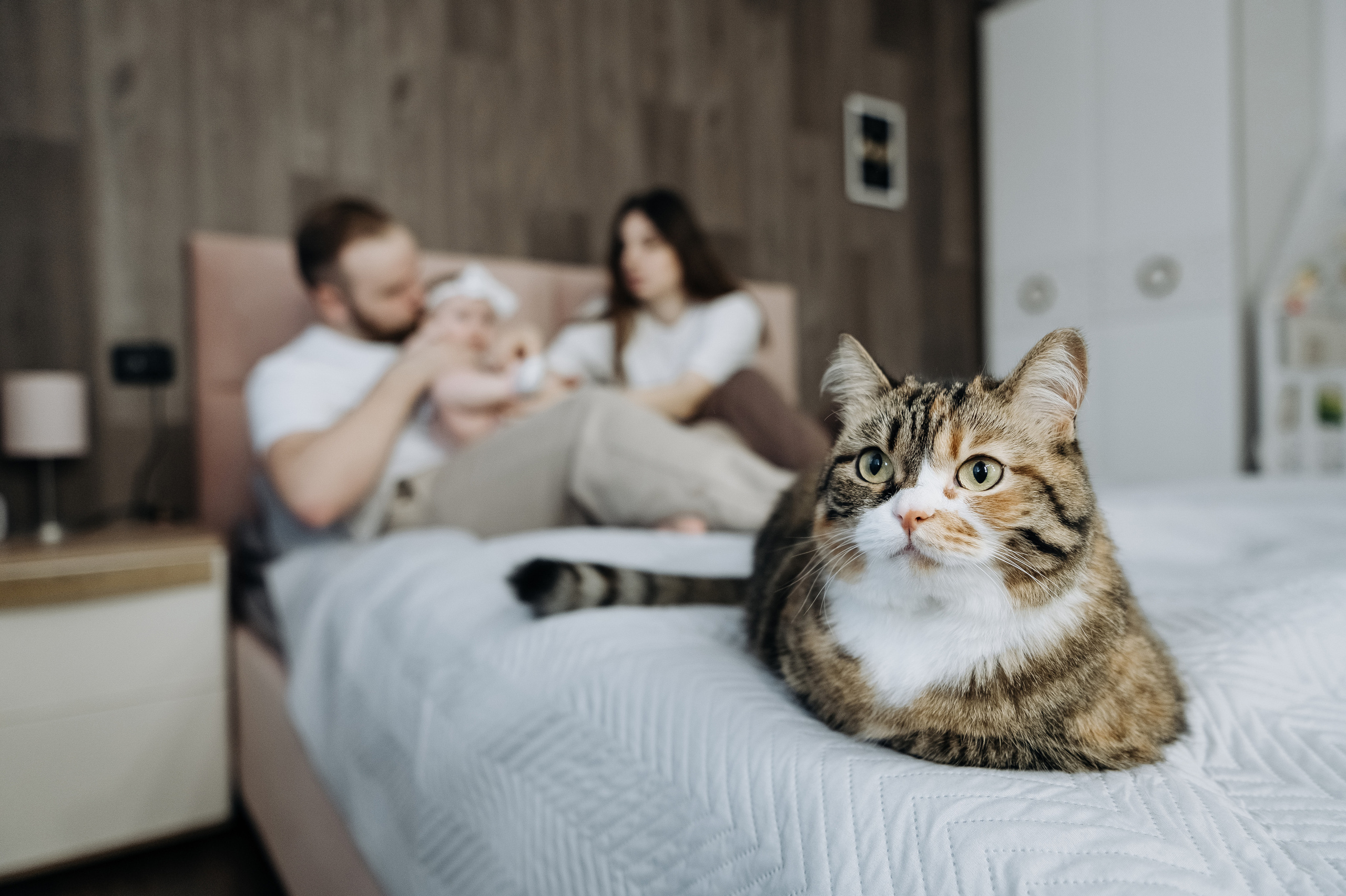 Катя Костя Кира