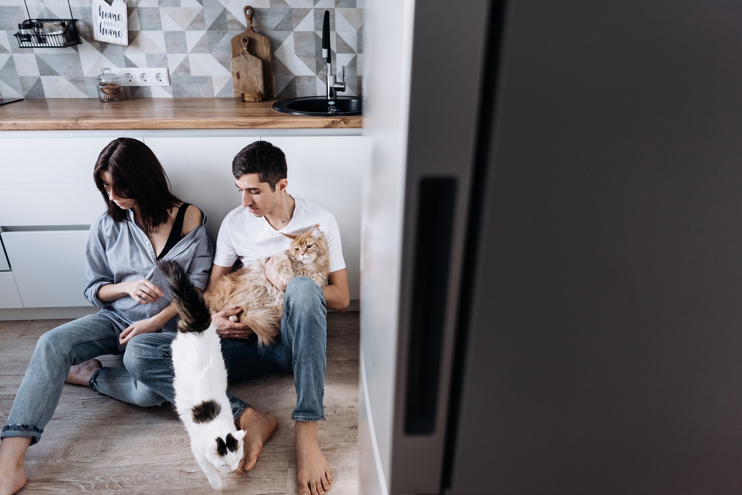 Анжела Дима и коты