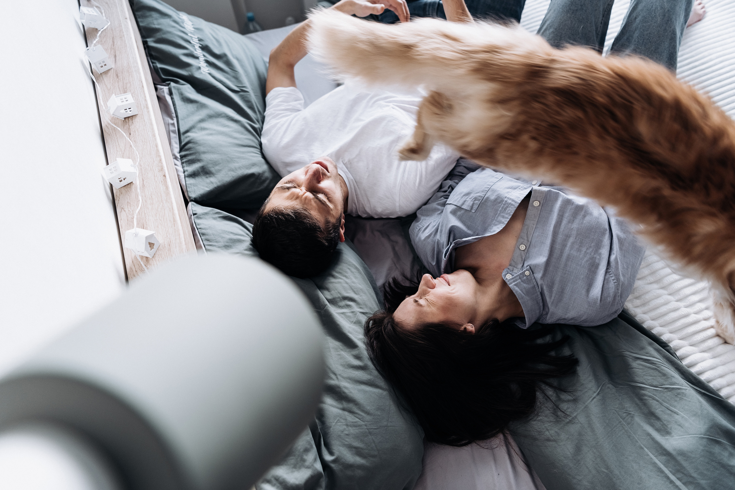 Анжела Дима и коты